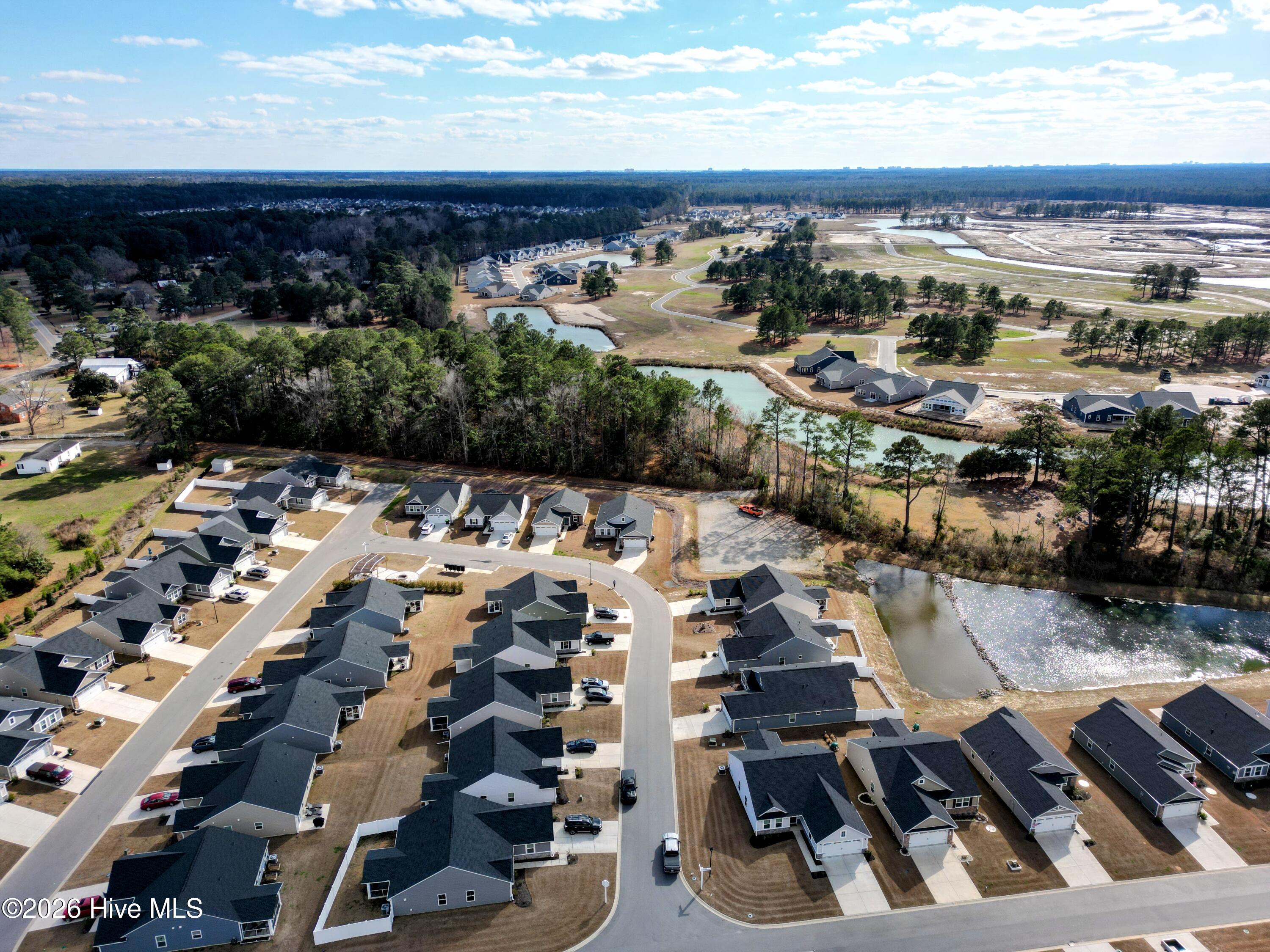 100556706 | Photo 29