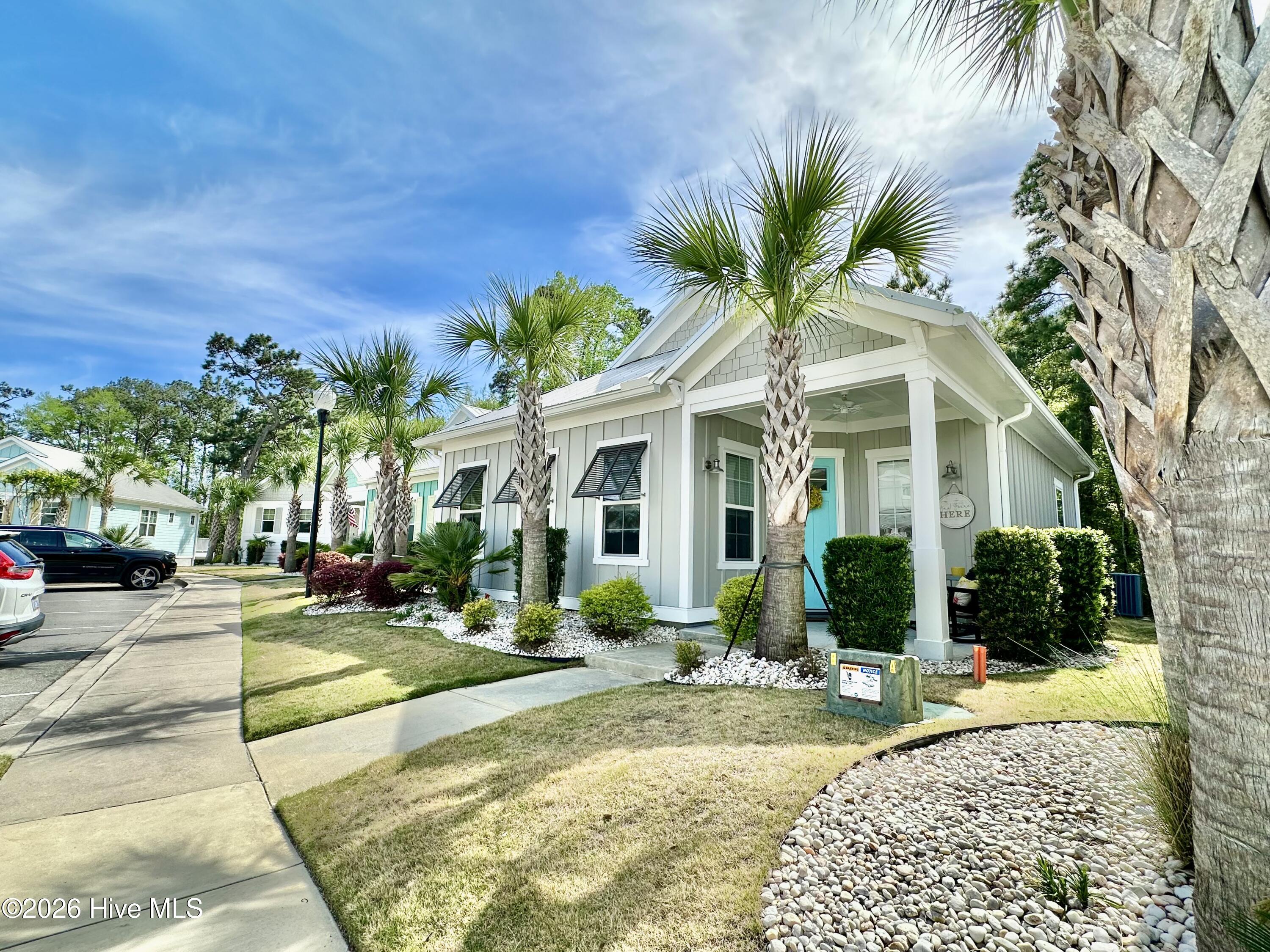 100566404 | Photo 21