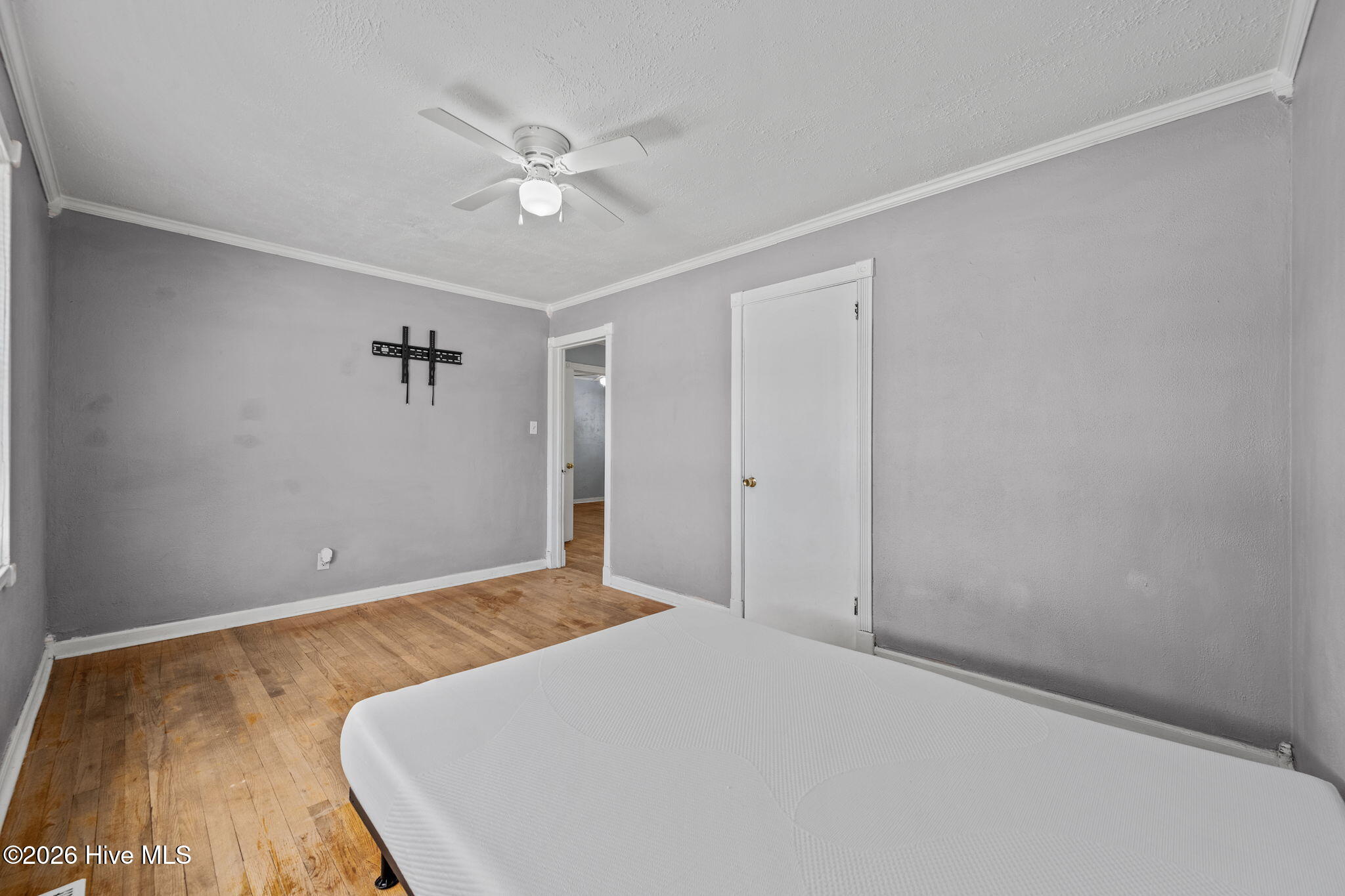 100562753 | Photo 26