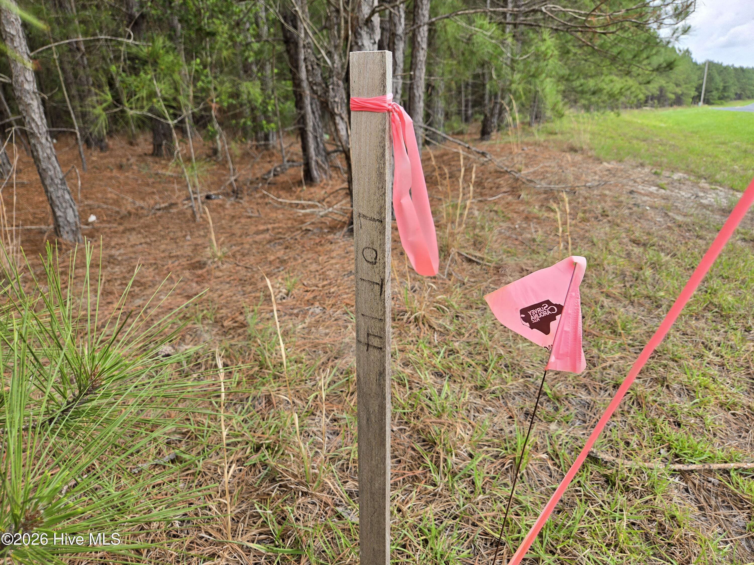 Tract 14 Belford Church Road, Jackson Springs, NC 27281 Listing Photo  9