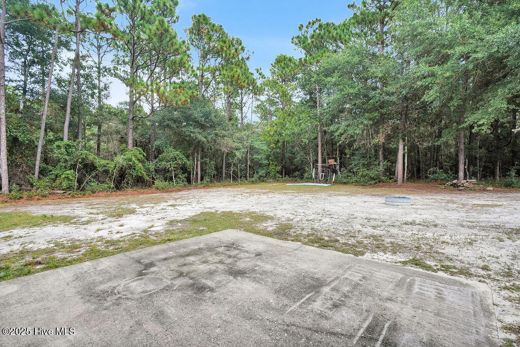 100539374 | Photo 30