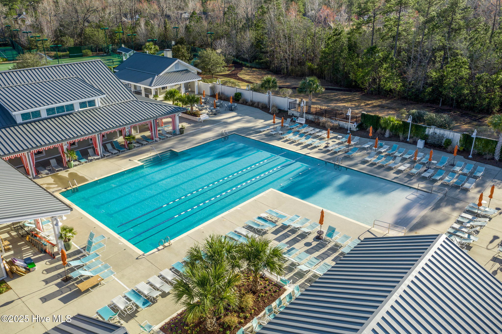 100527898 | Photo 83