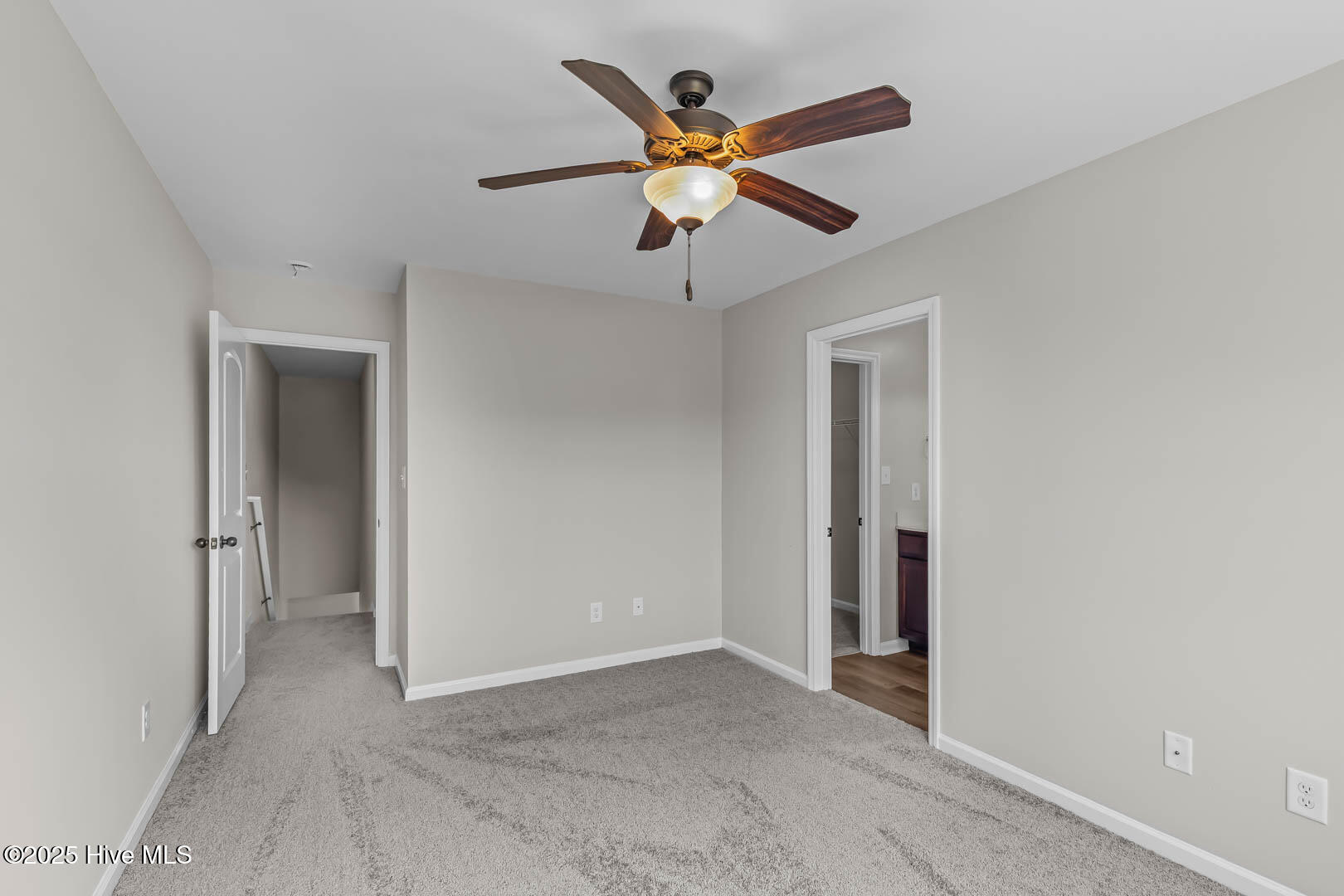 100559329 | Photo 13