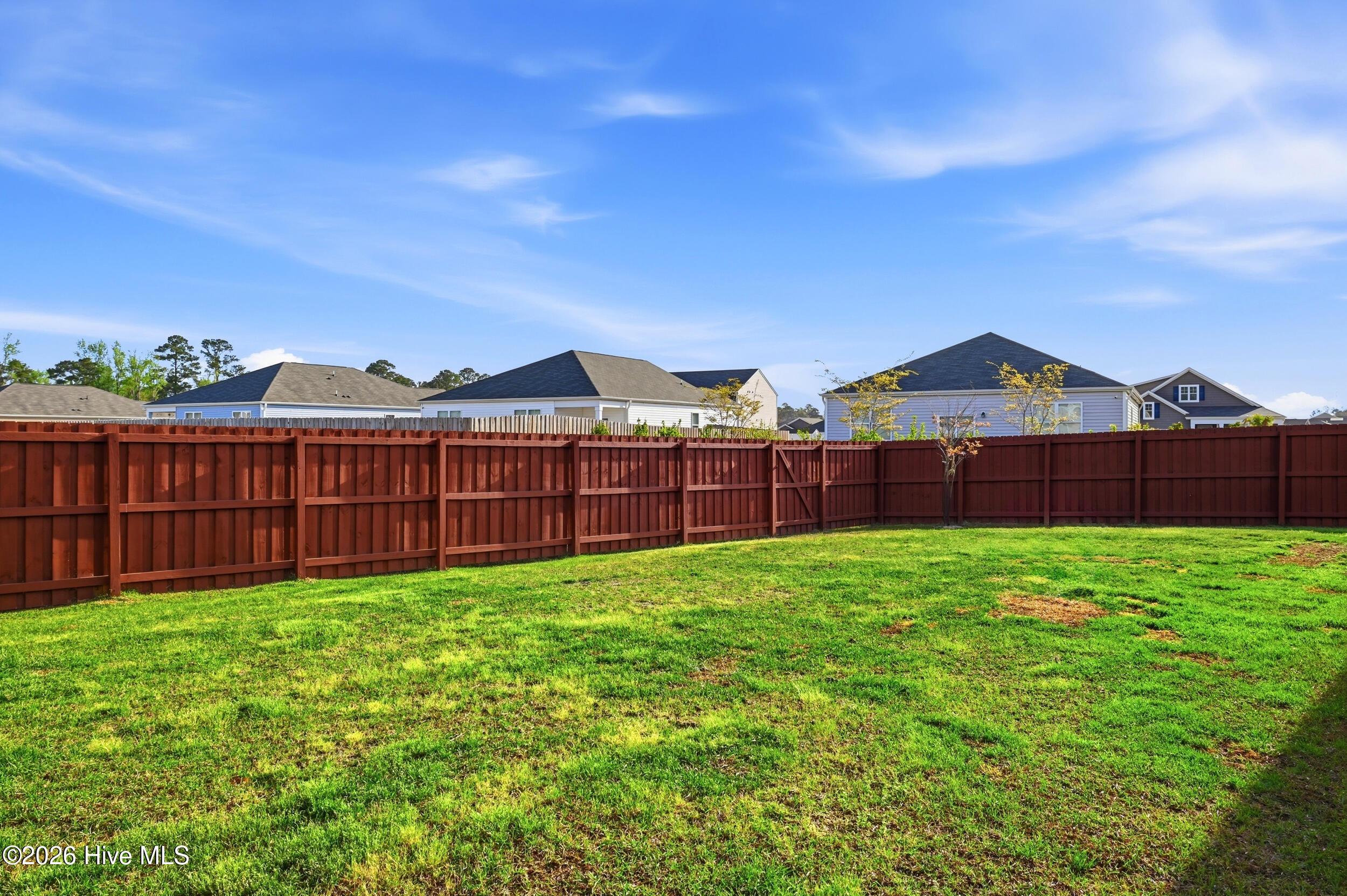 100563269 | Photo 36