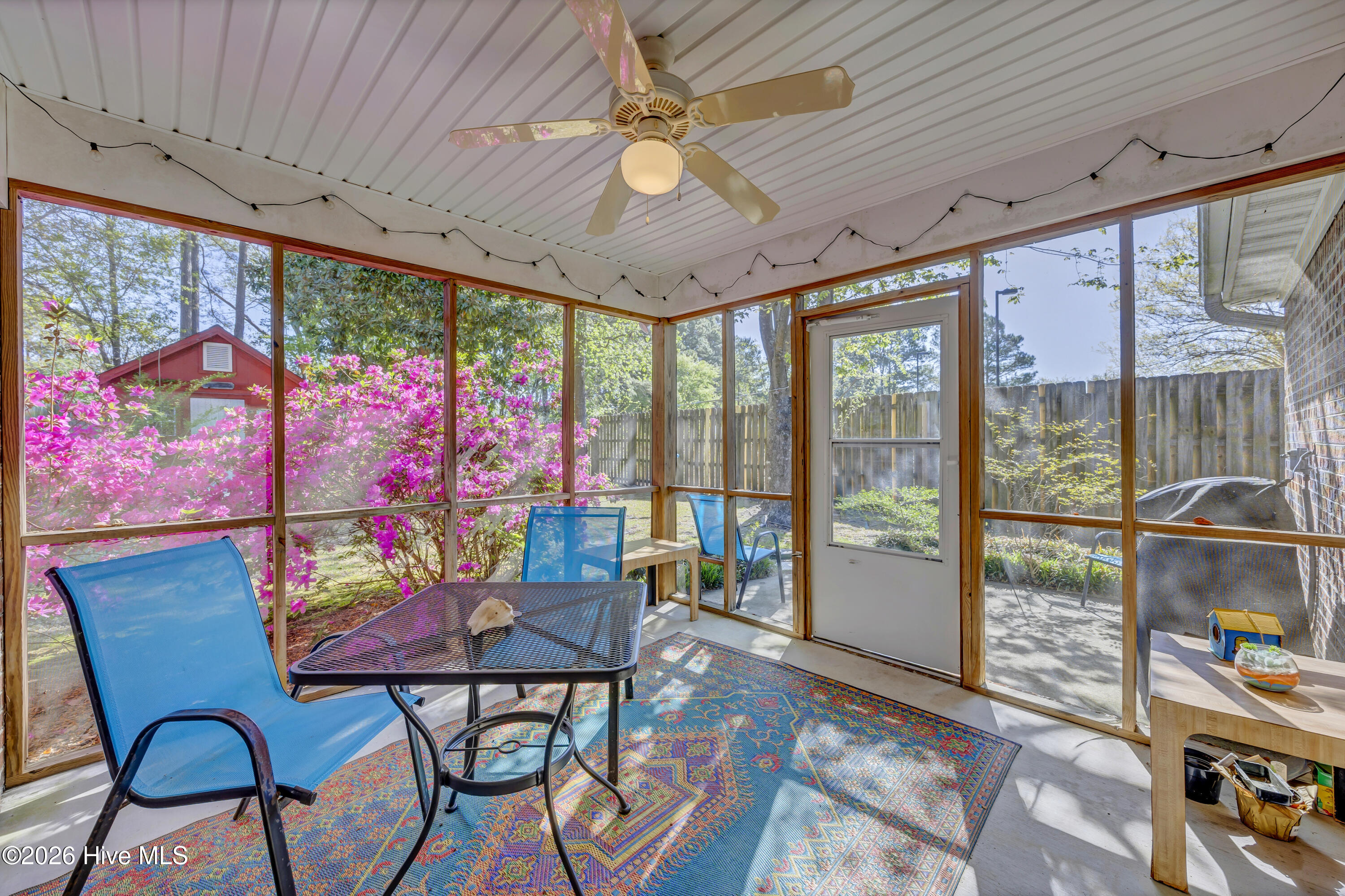 100566281 | Photo 20