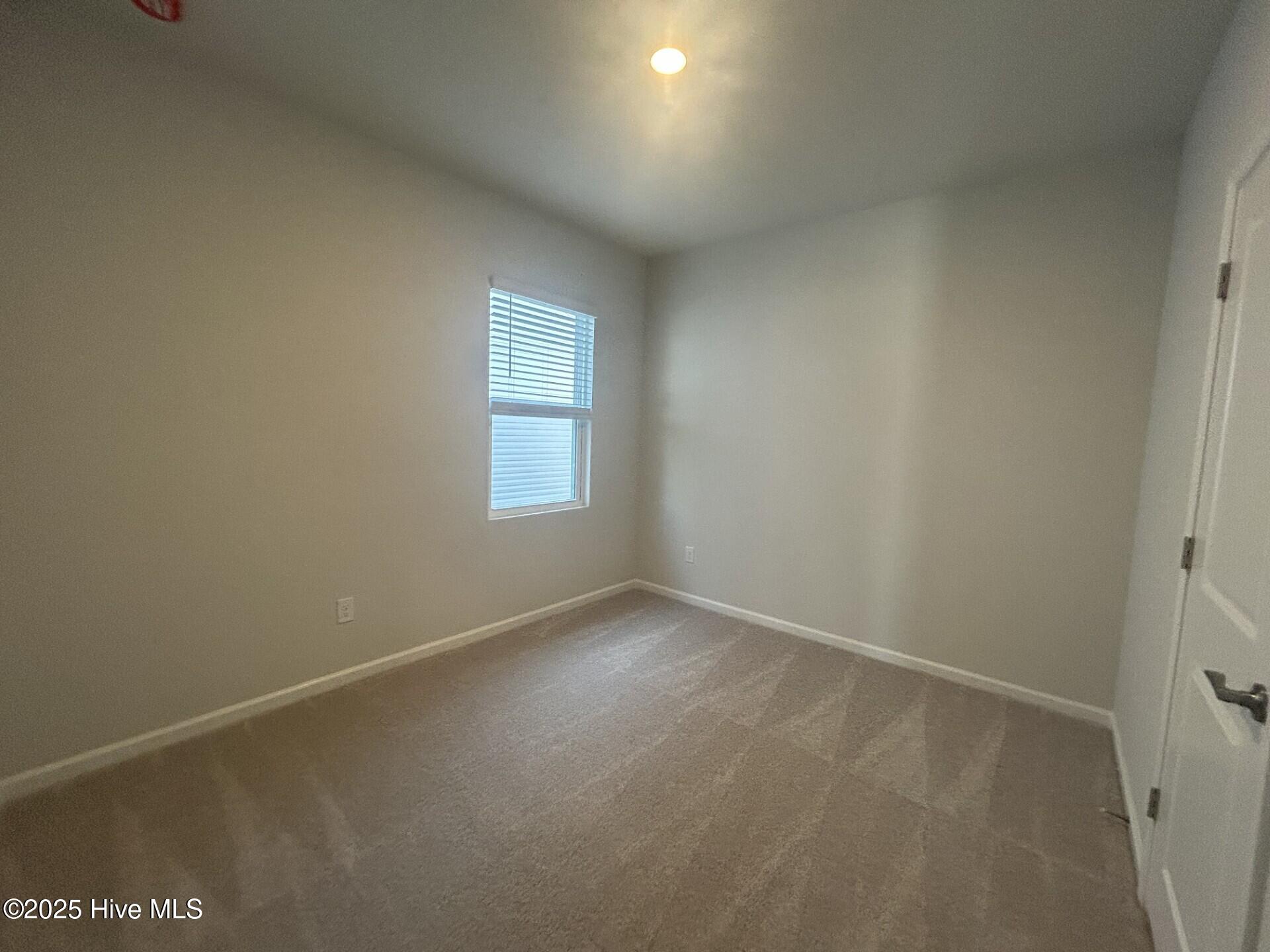 100535961 | Photo 16