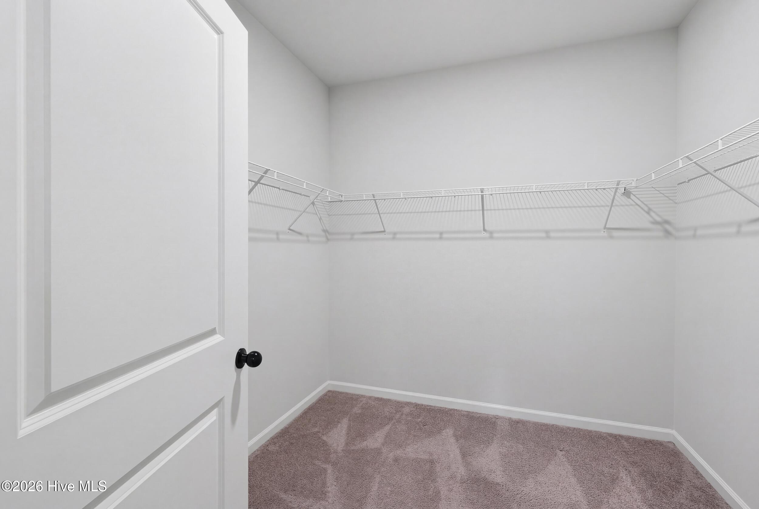 100561033 | Photo 28