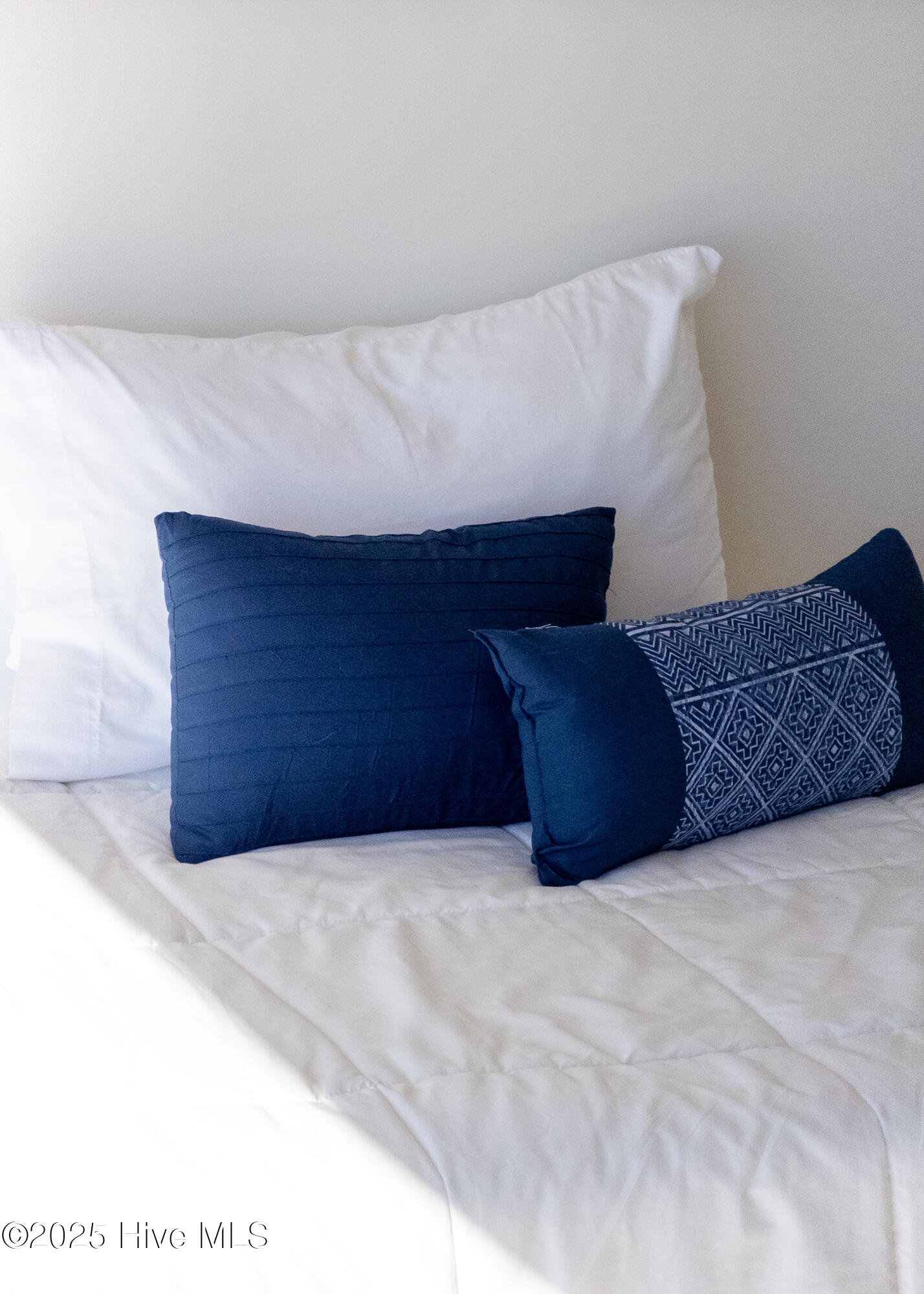 100539588 | Photo 45