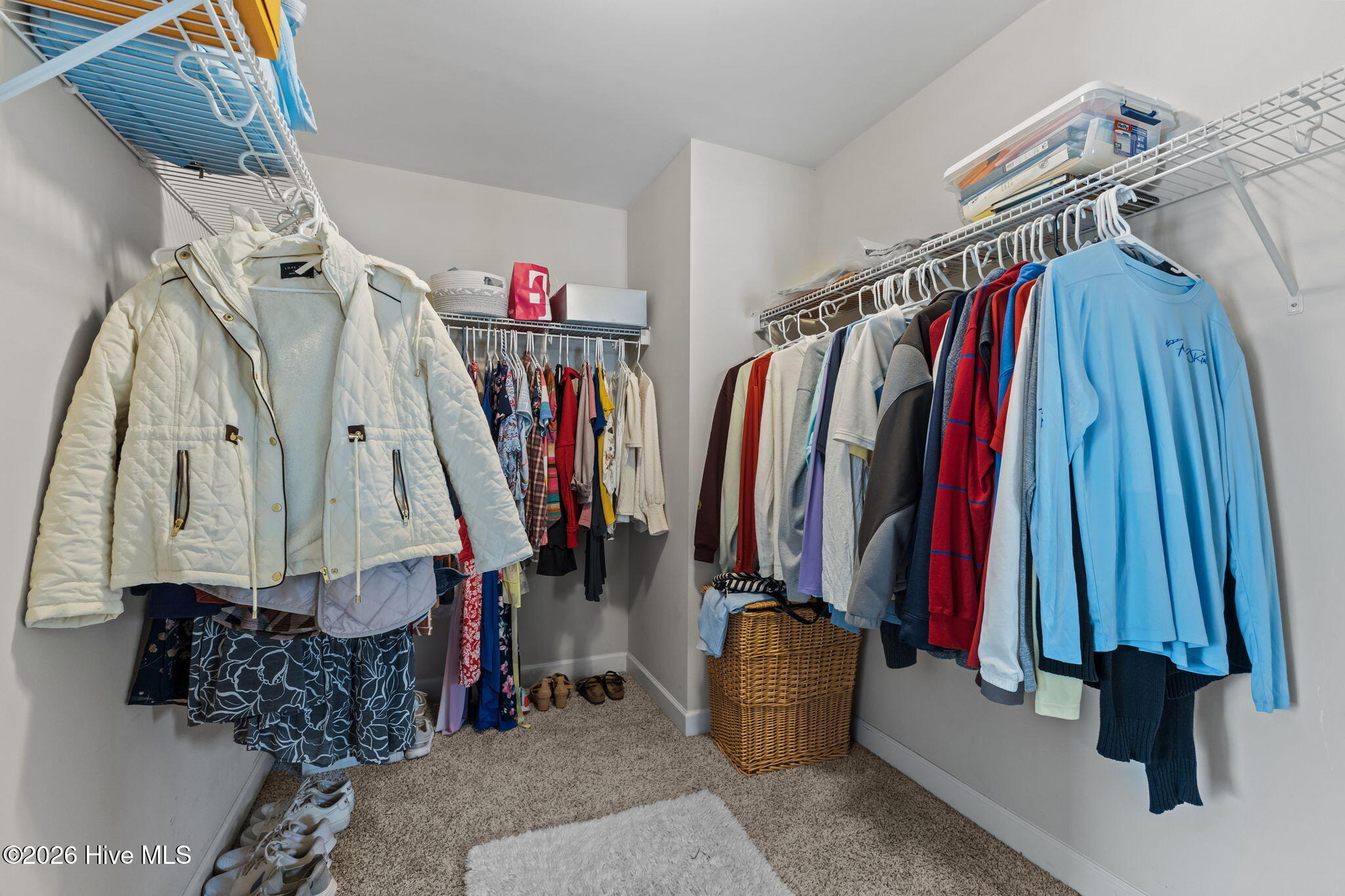 100554627 | Photo 25