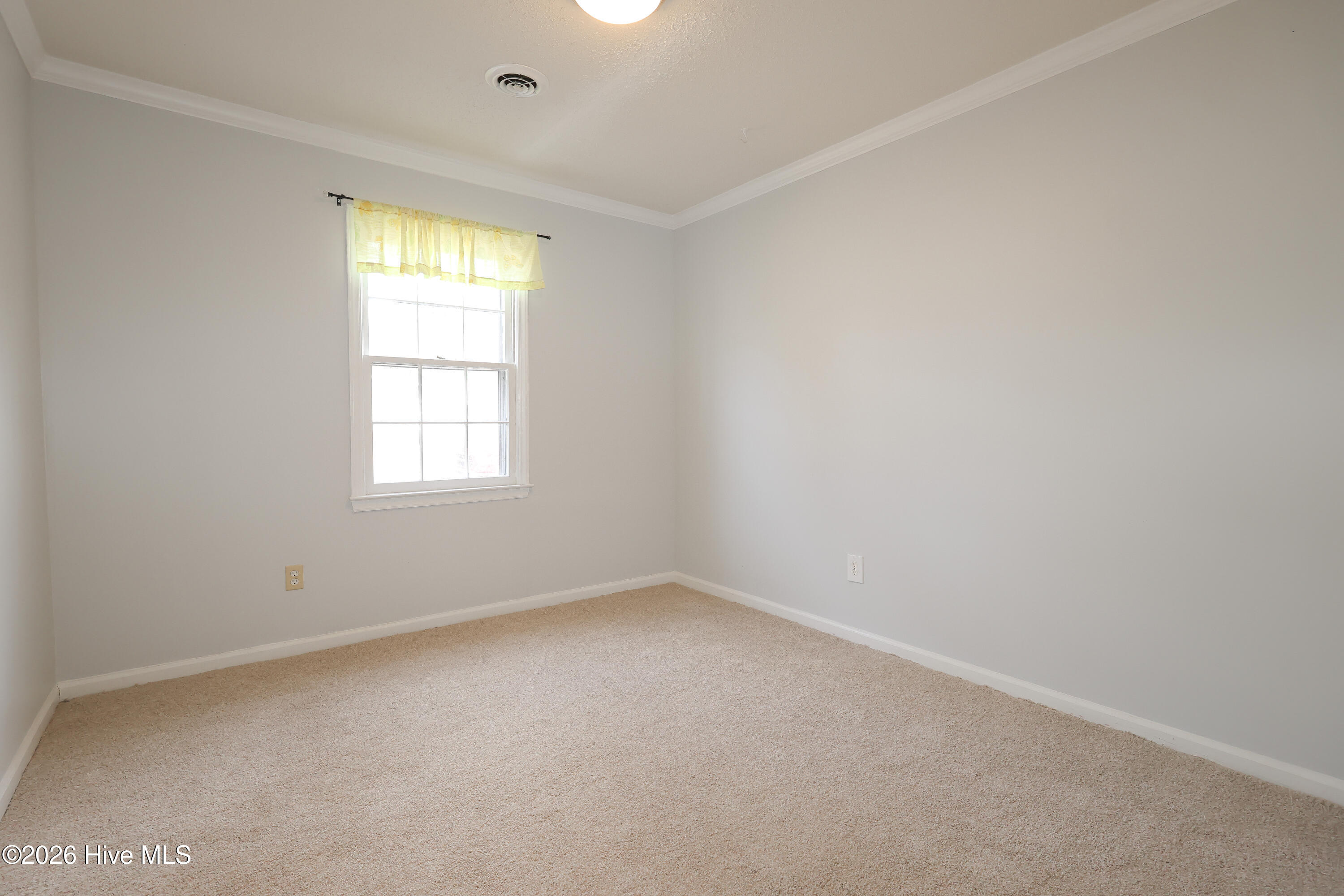 100550161 | Photo 11