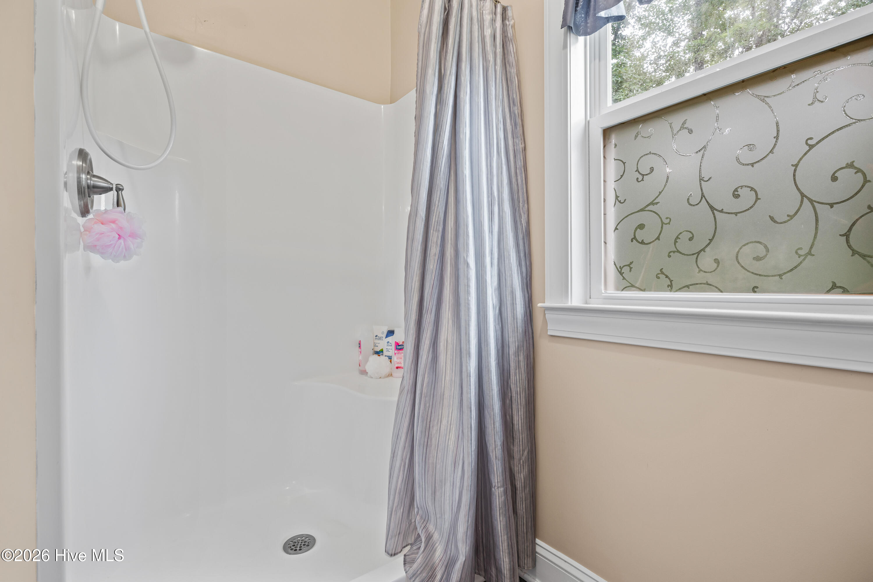 309 Ramonas Lake Court,New Bern