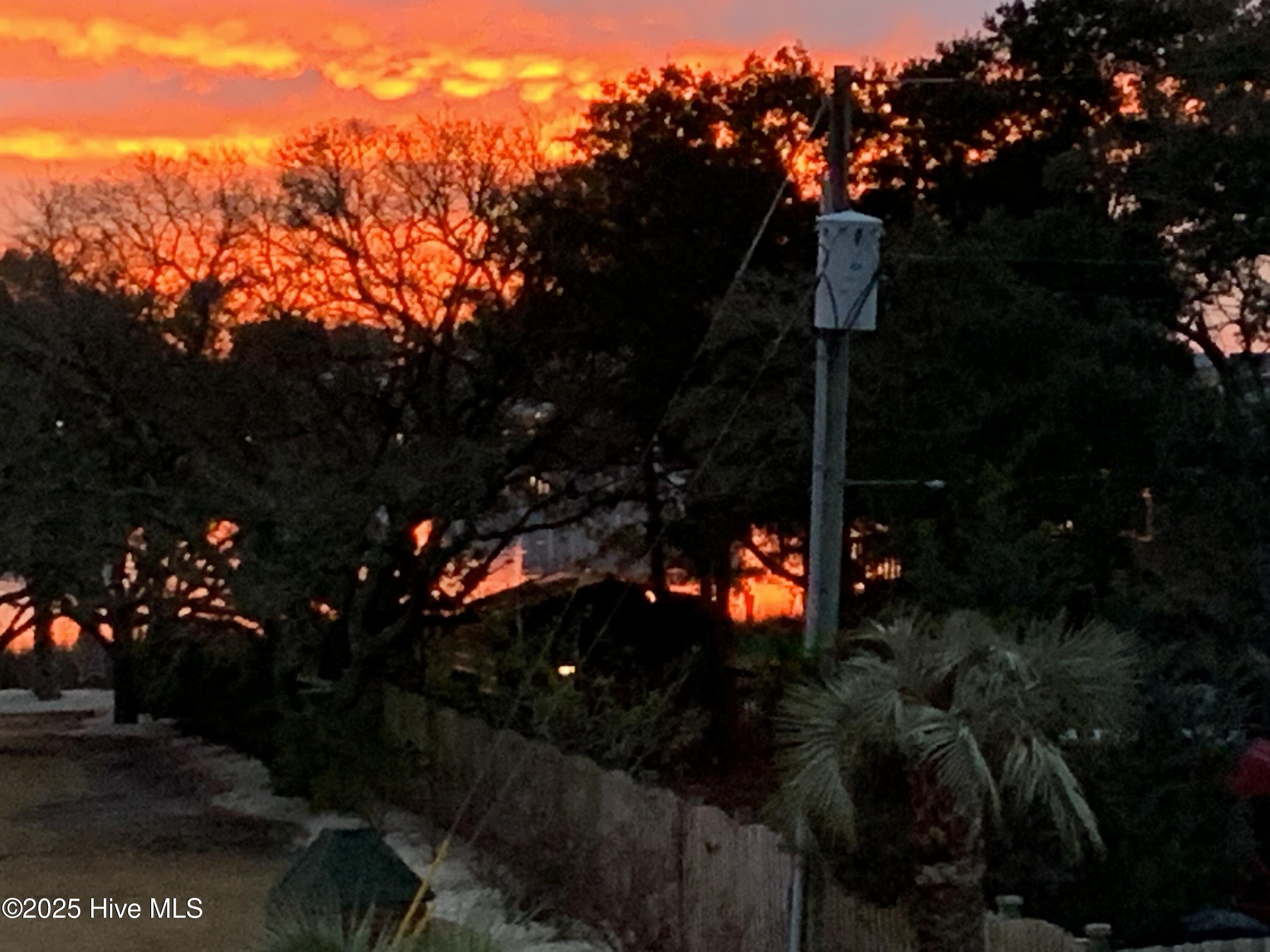 100534046 | Photo 53