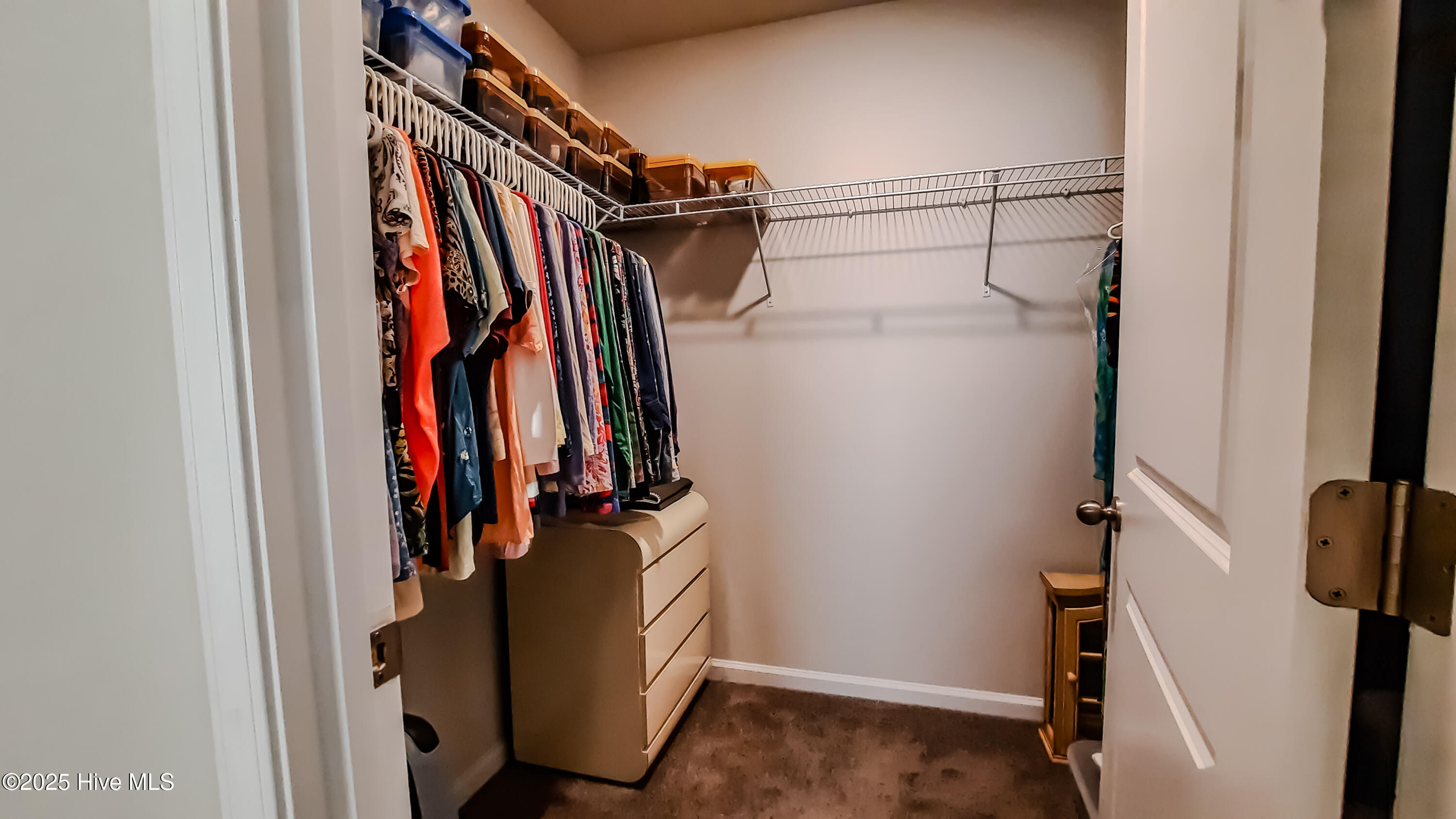 100541546 | Photo 12