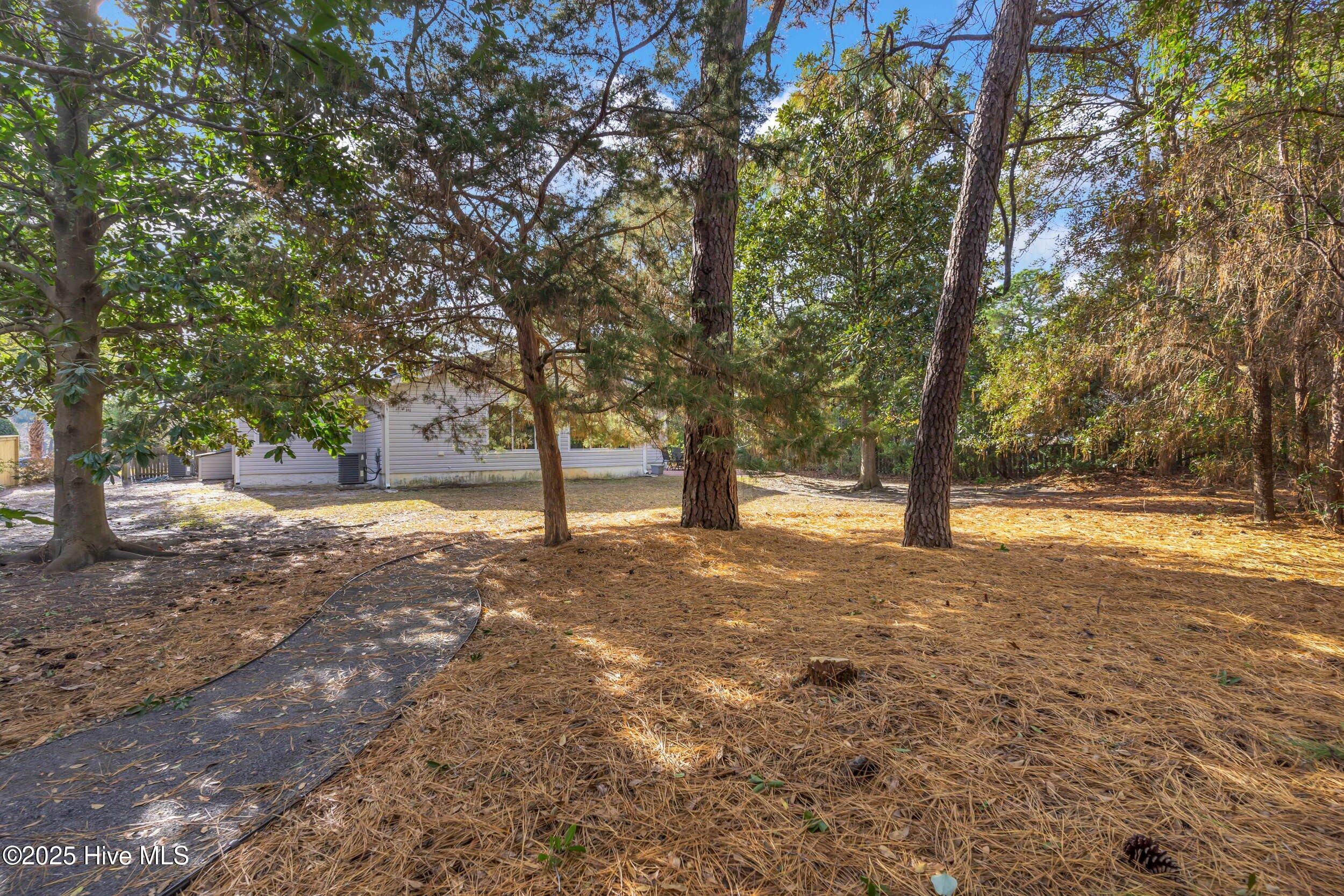 100546035 | Photo 28