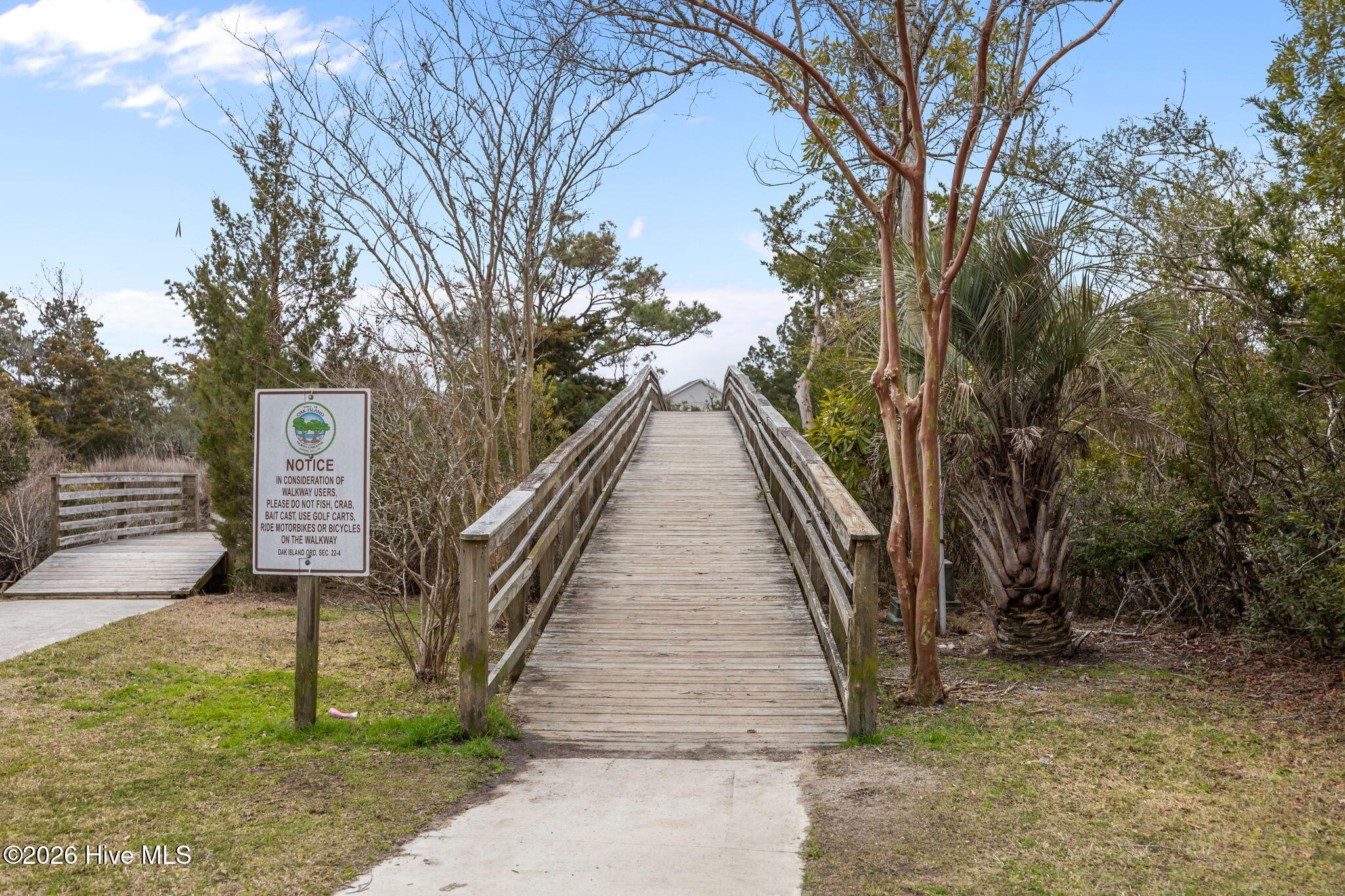 100558416 | Photo 47