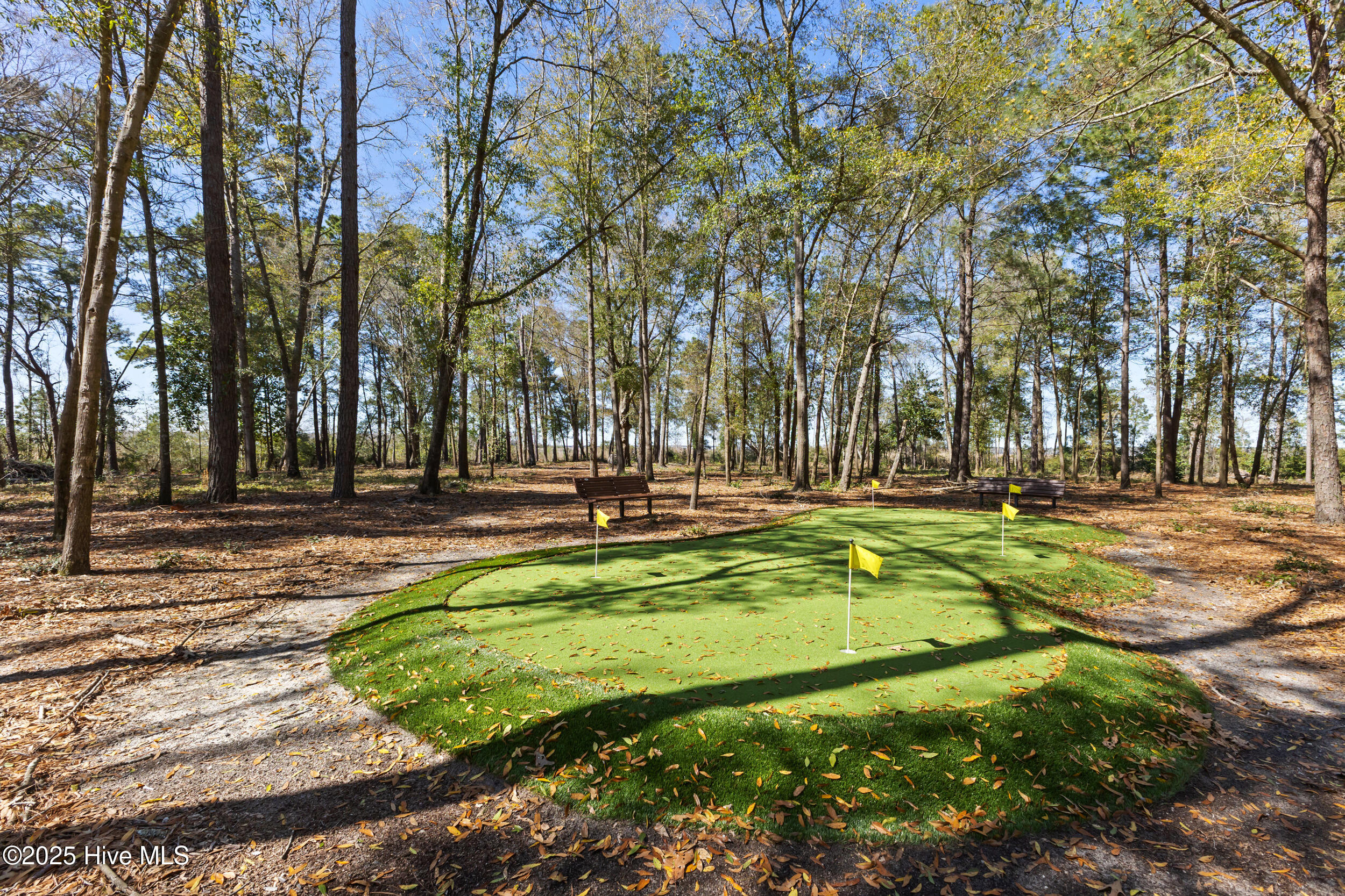 228 Preservation Point Avenue, Wilmington, NC, 28401