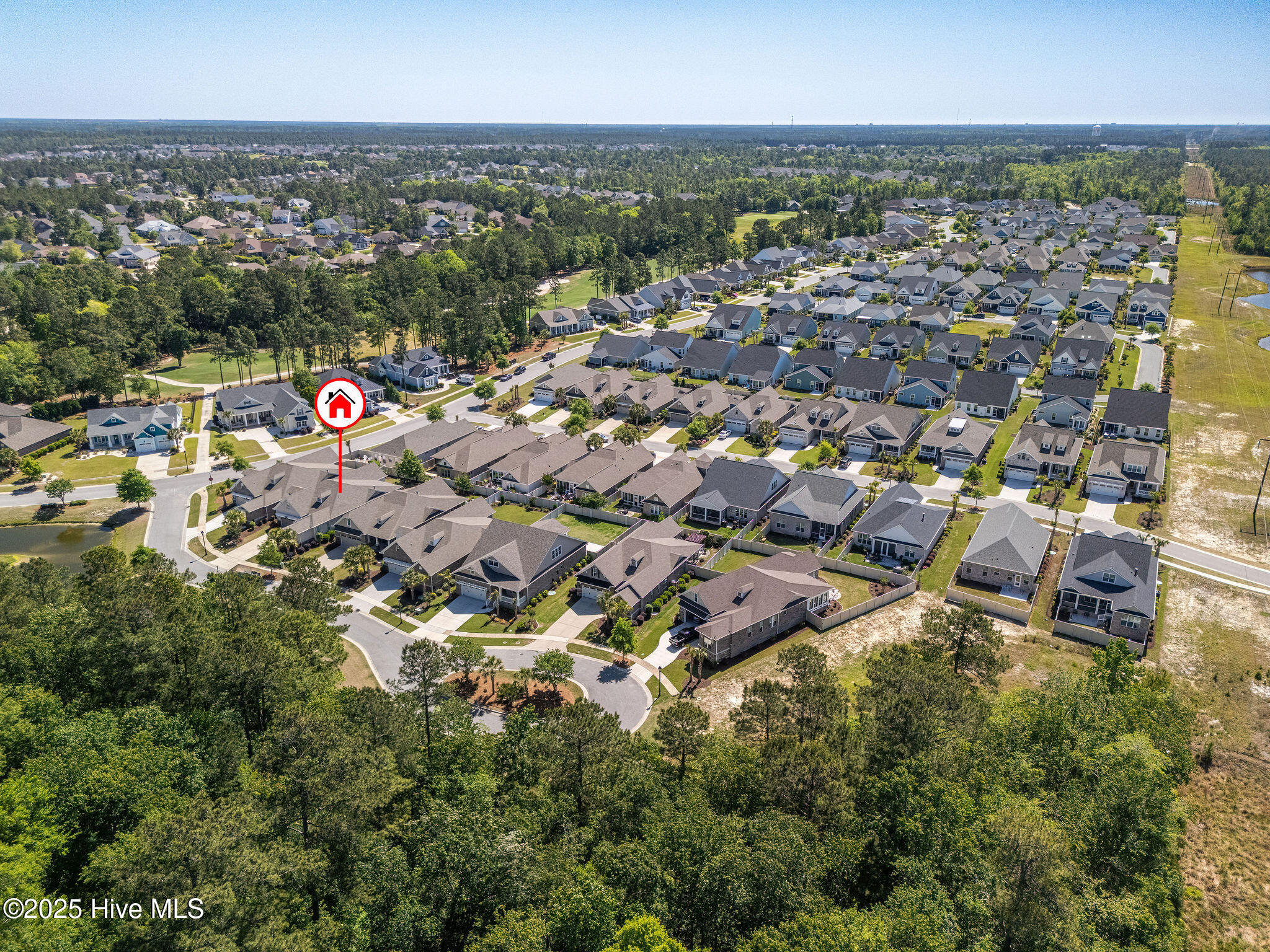 100540616 | Photo 61