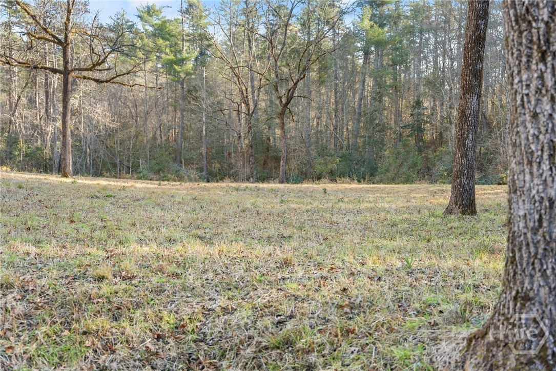 Shoal Creek Tract Potential Home Site