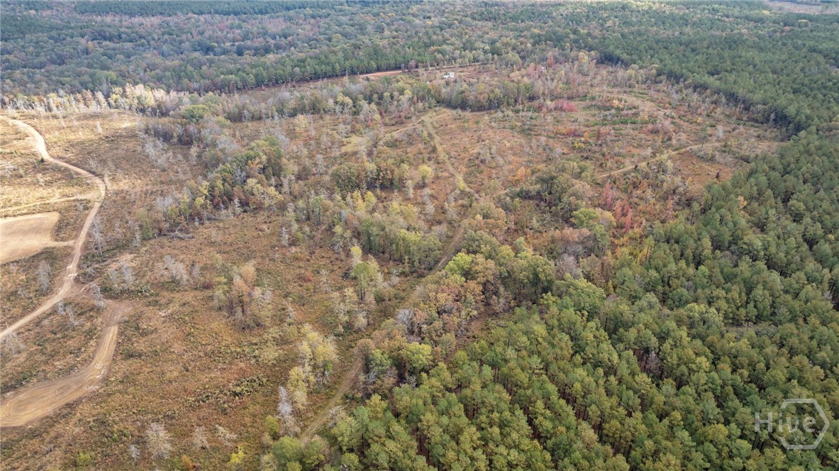 Homes for sale in Carlton, GA | 00 New Hope Vesta, Carlton, GA 30627 | MLS# CL343042