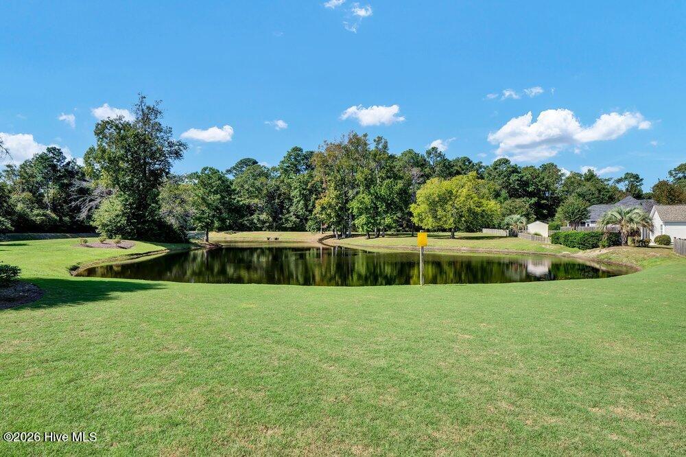 100555857 | Photo 64