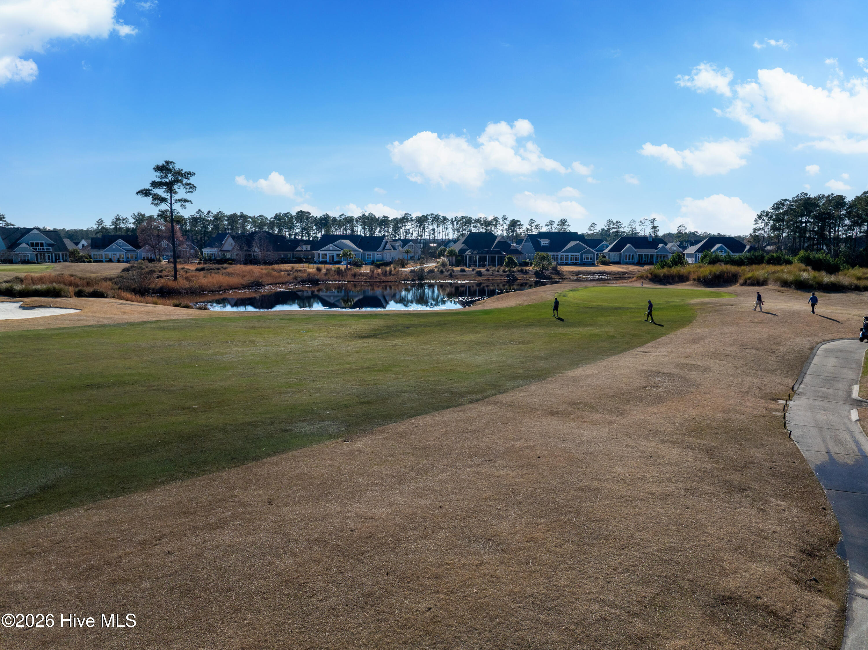 100557146 | Photo 32