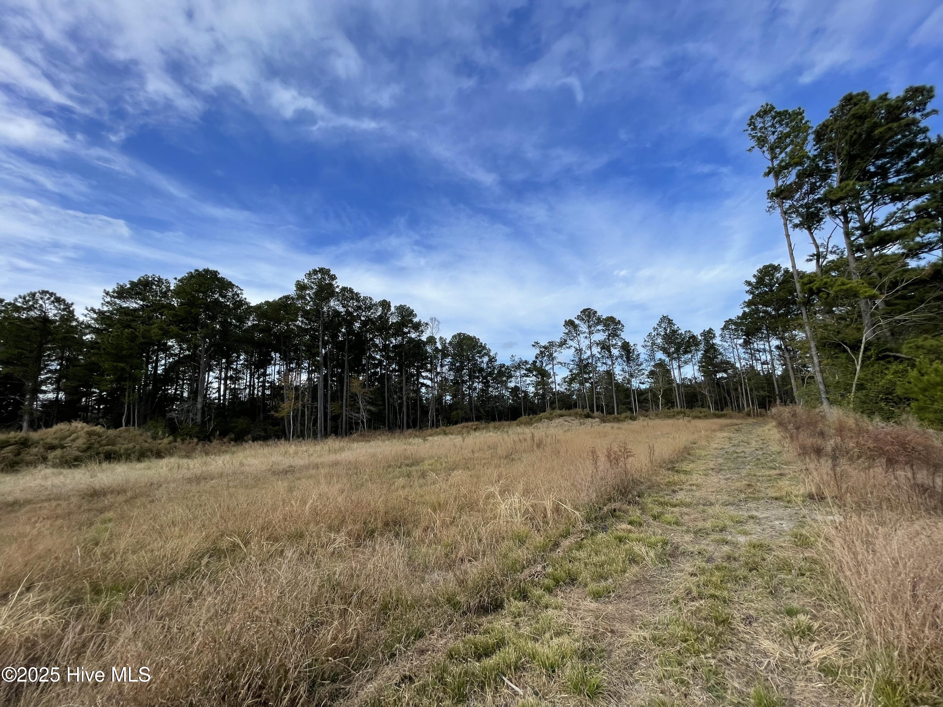 100496584 | Photo 11