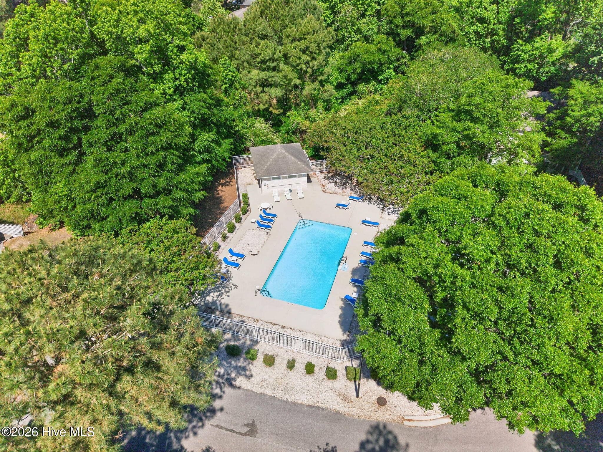 100570358 | Photo 39