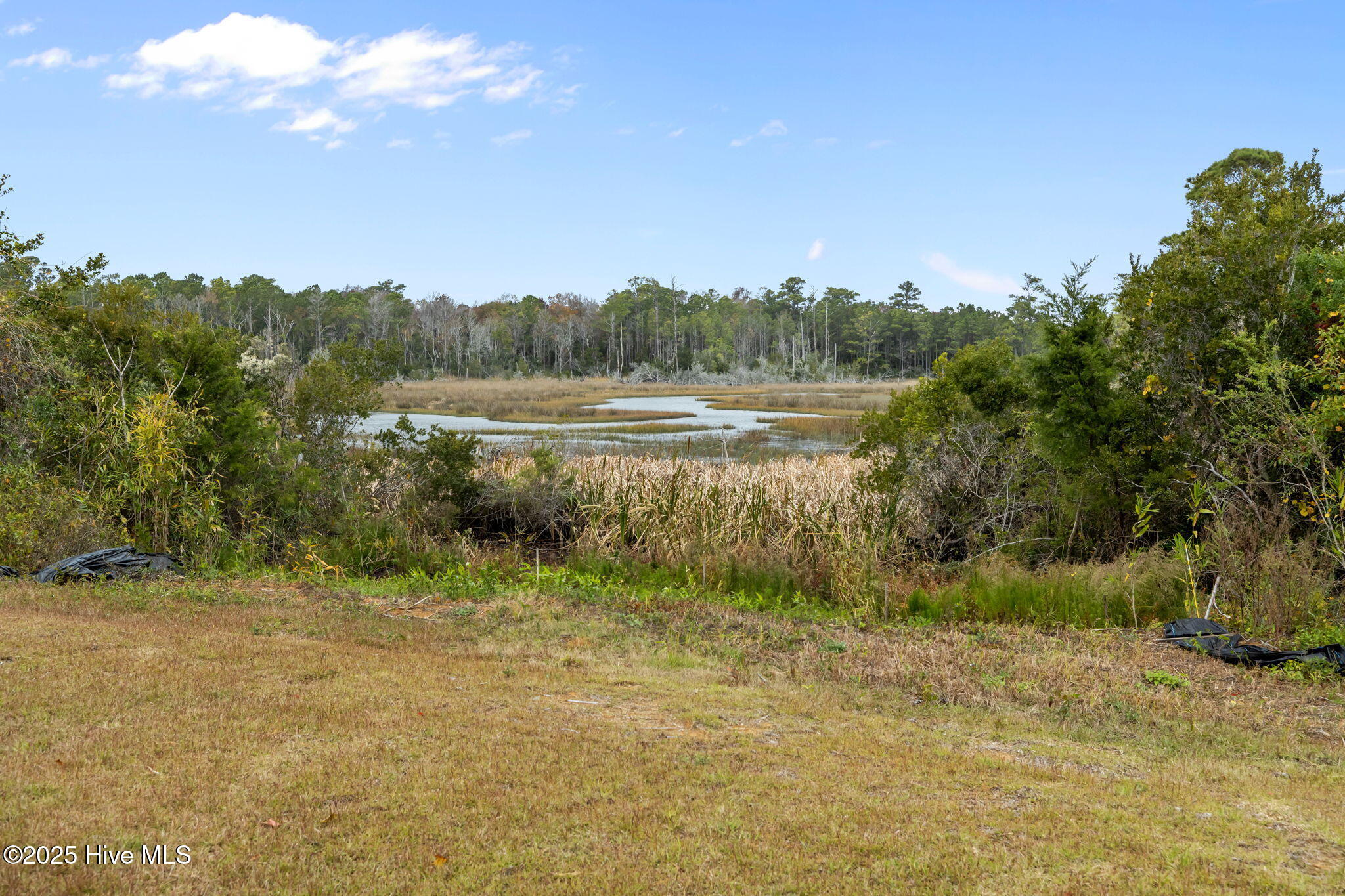 Featured Property 106 Marshland 