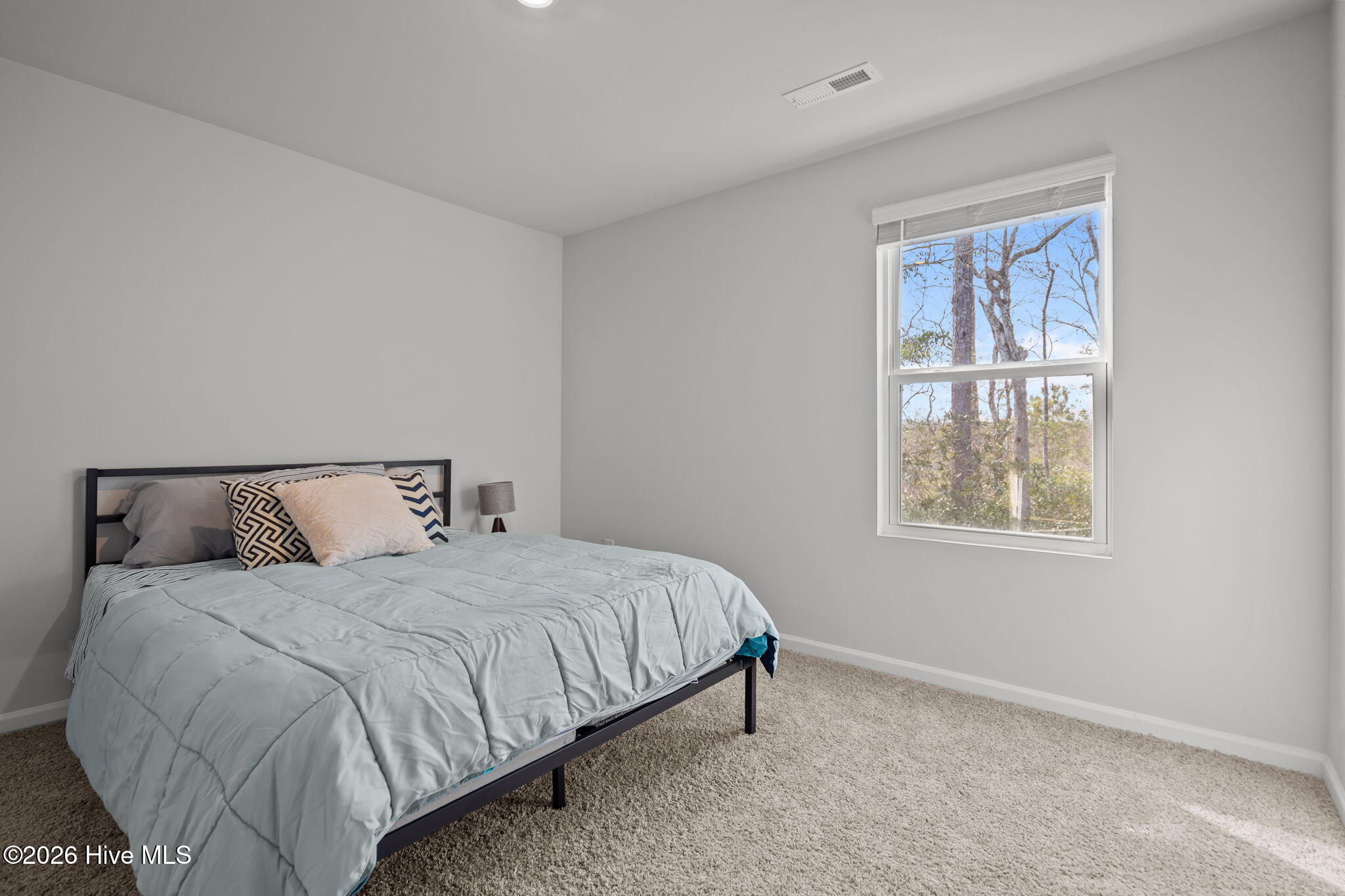 100551005 | Photo 22