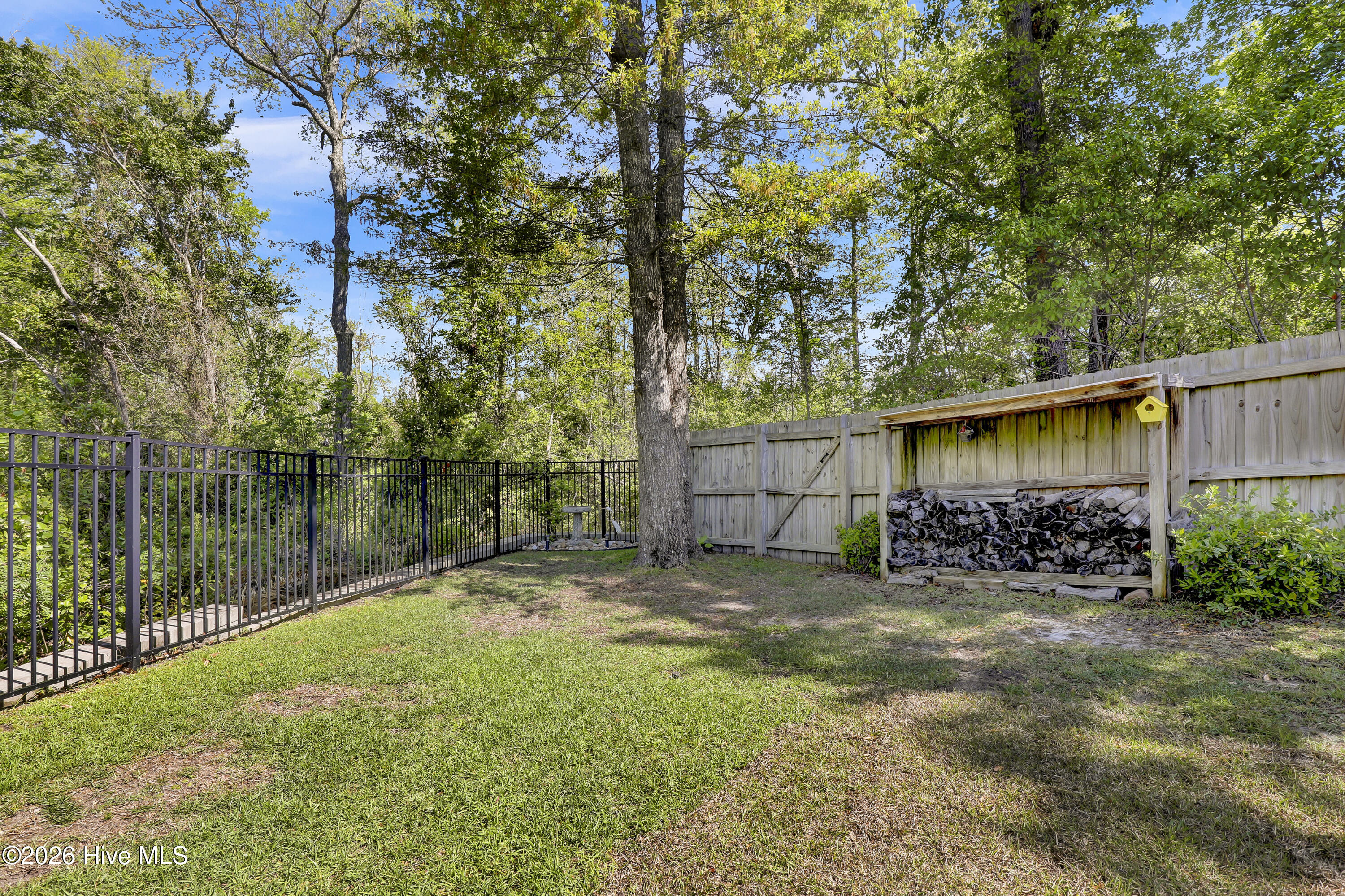 100567607 | Photo 51