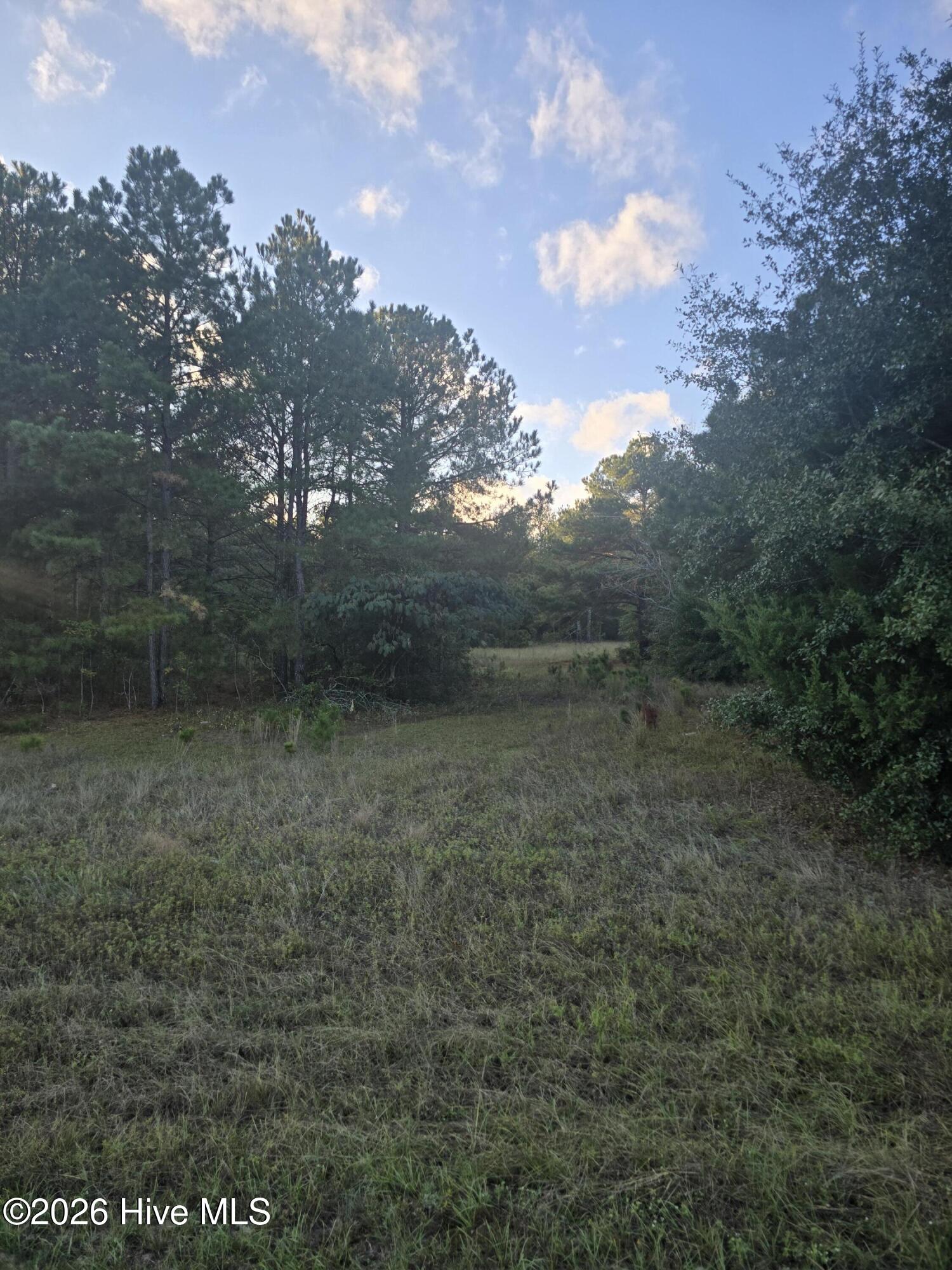 Photo 3 of Land for sale at Tbd Hwy 25/tower View Dr, Trenton, SC 29847 | MLS# 100610613 | Listing updated on 2026-10-16