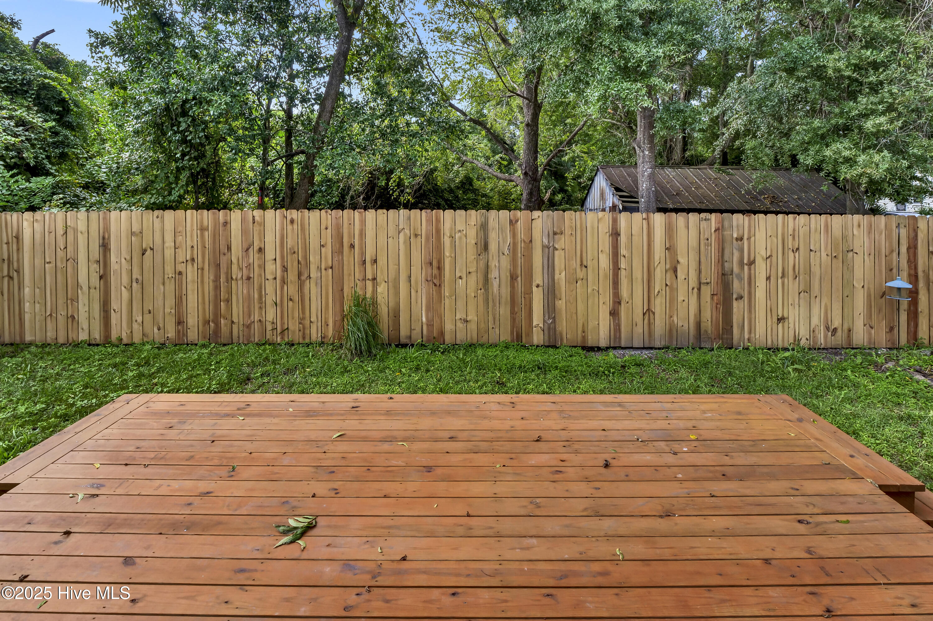 100556721 | Photo 25