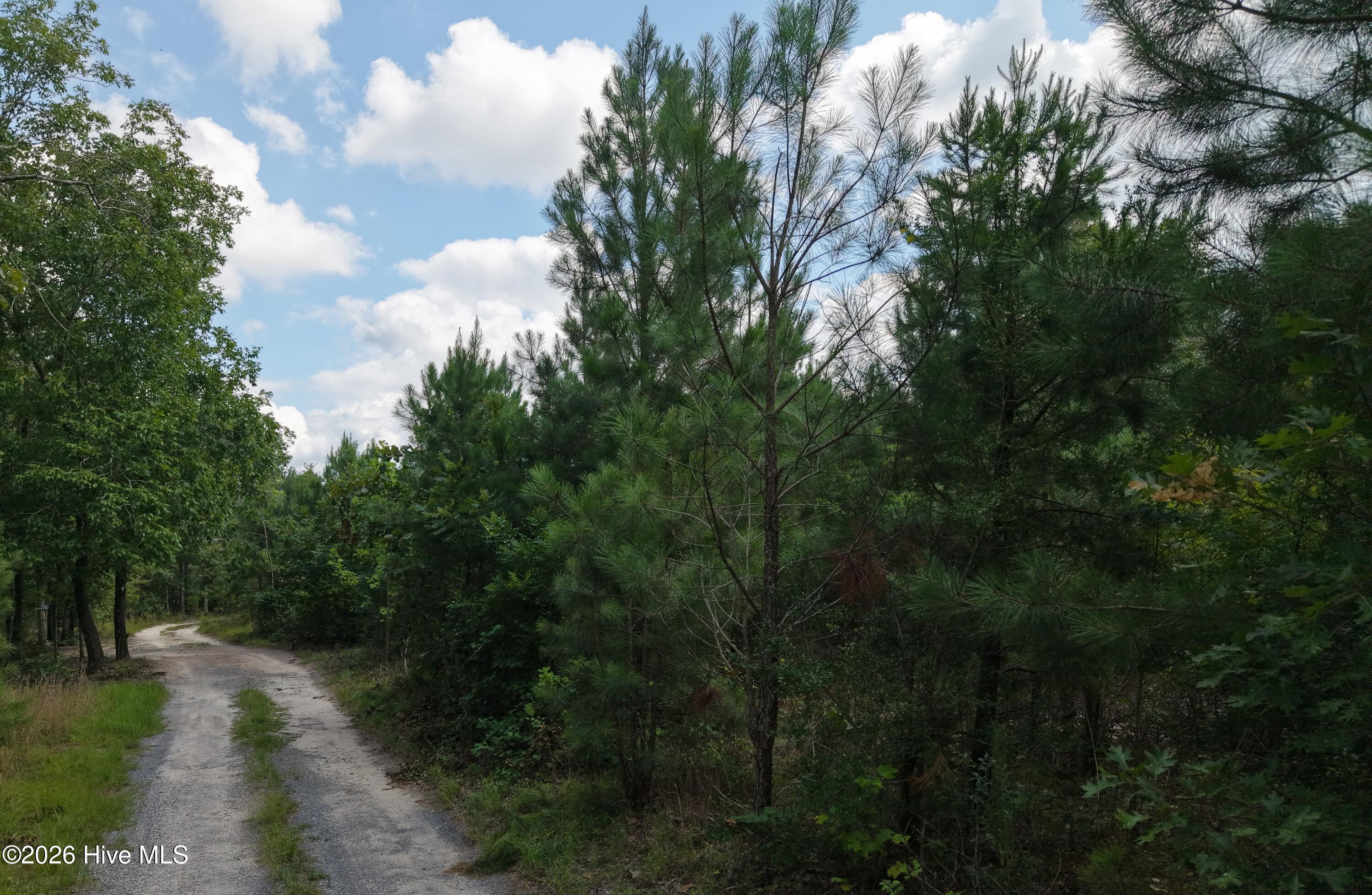 Exterior photo of 01581 Doubs Chapel Road, West End, NC 27376. MLS: 100591810