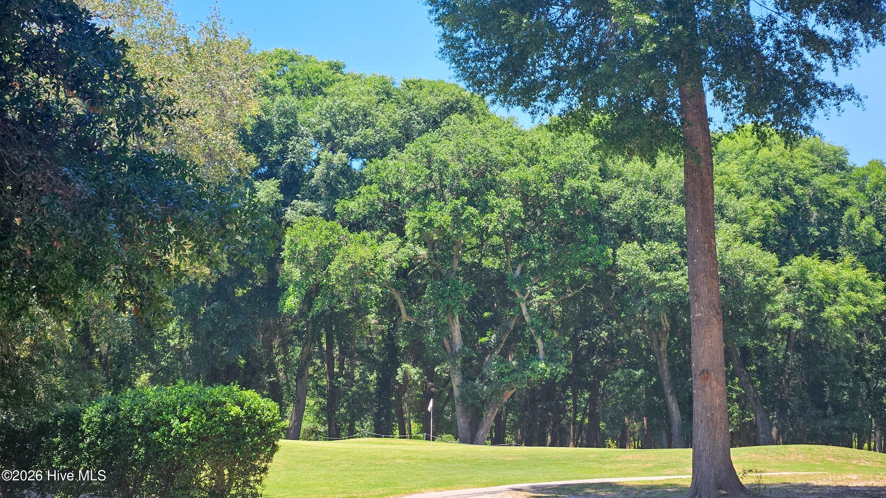 100579636 | Photo 28