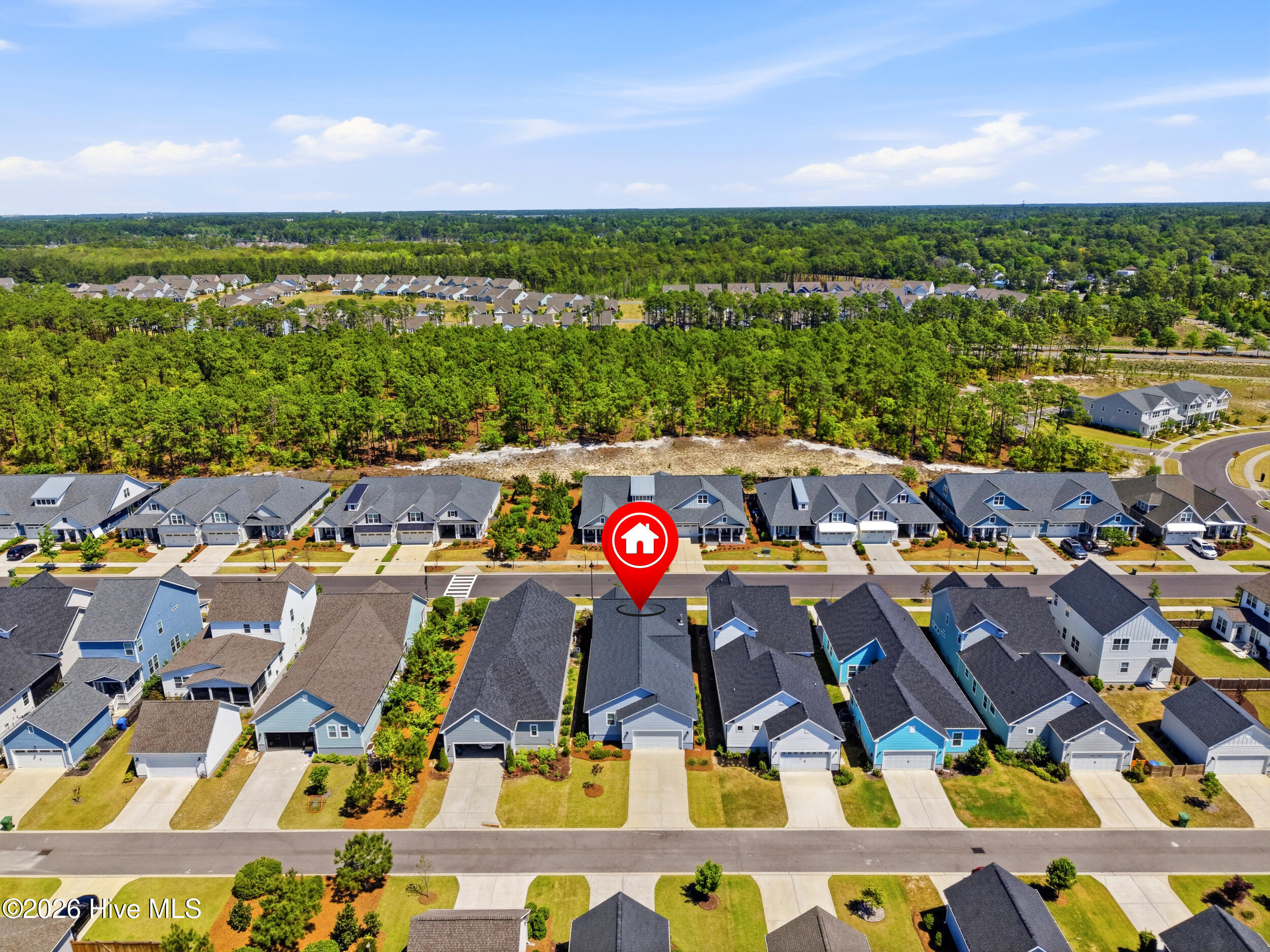 100569050 | Photo 58