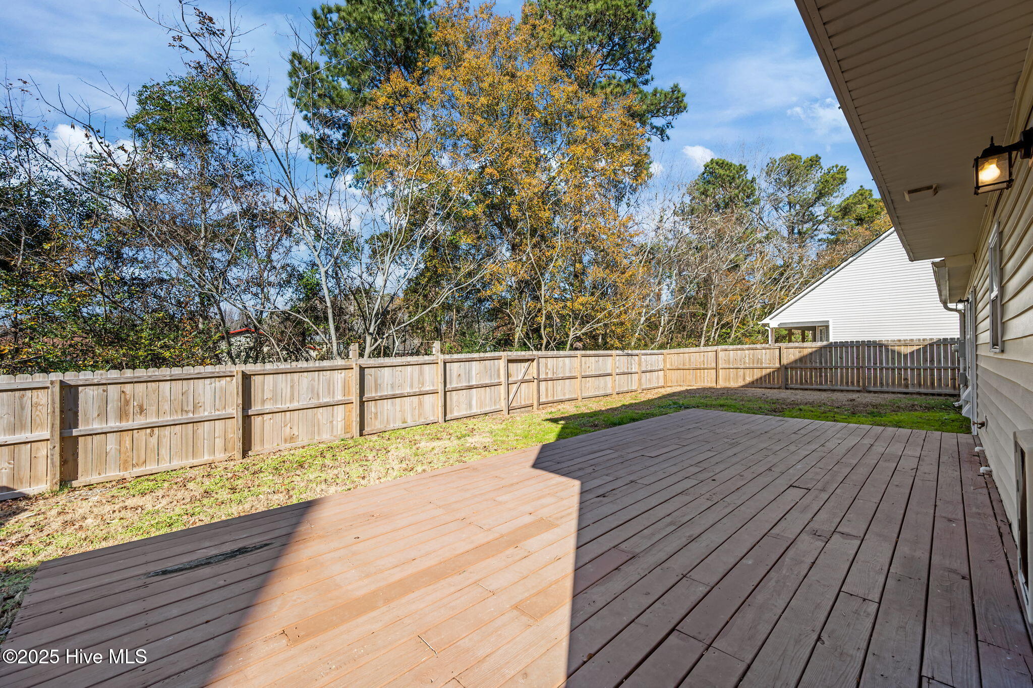 100546746 | Photo 41