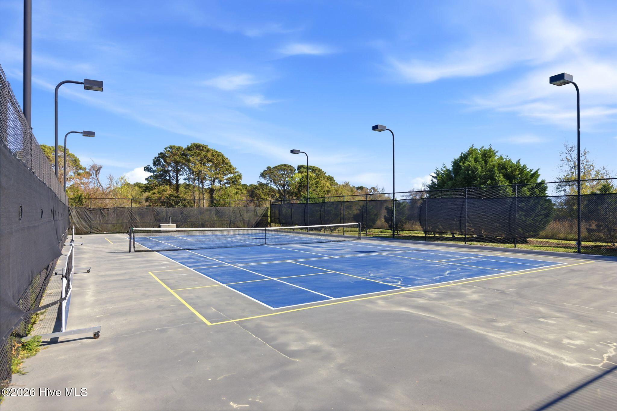 100564398 | Photo 47