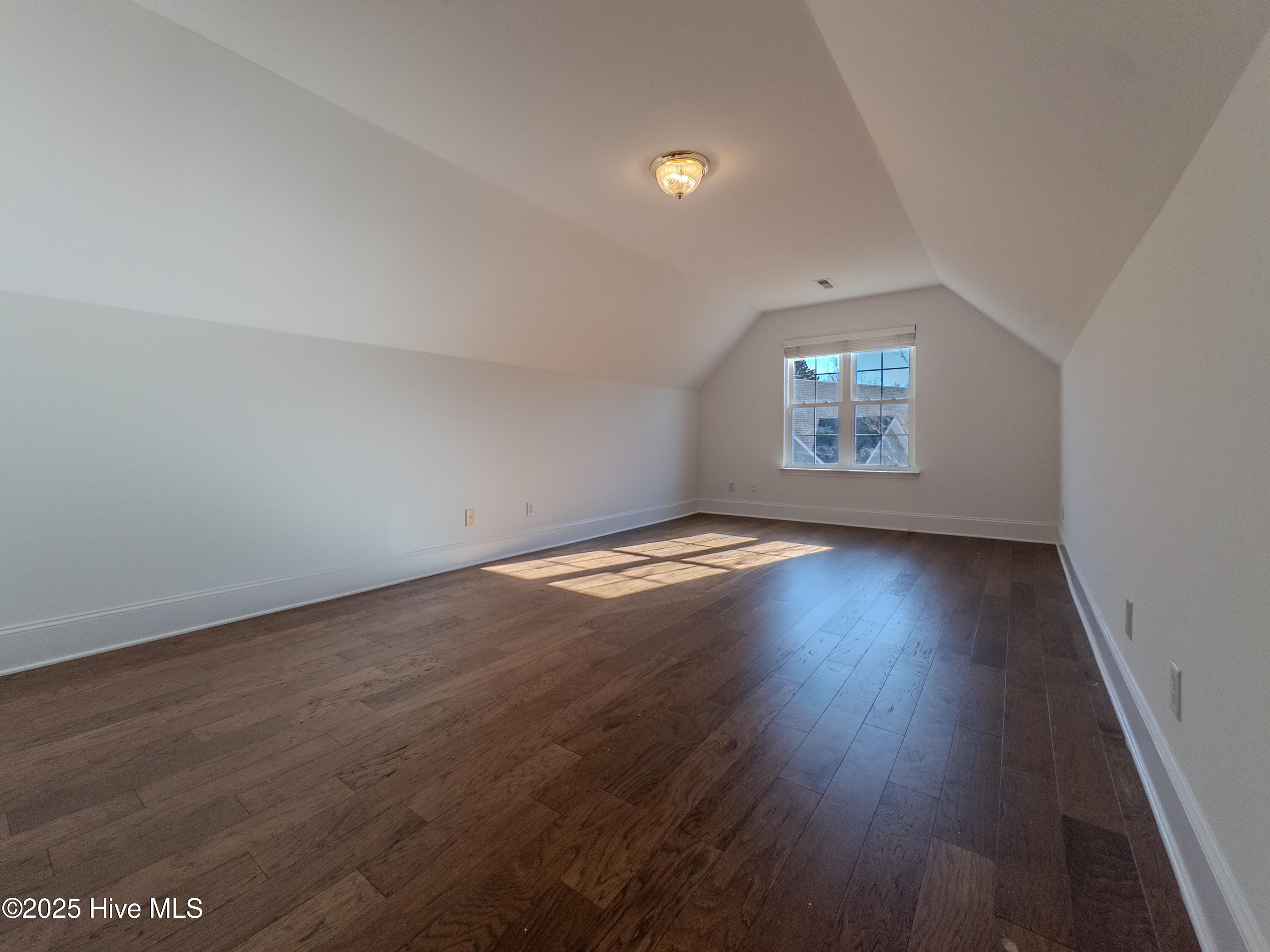 100546237 | Photo 26