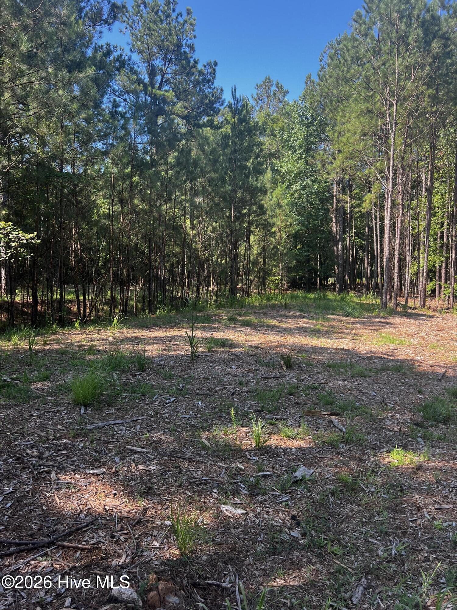 49th image of 1192 Sunset Cvs, Tignall, GA 30668 | MLS# 98252311