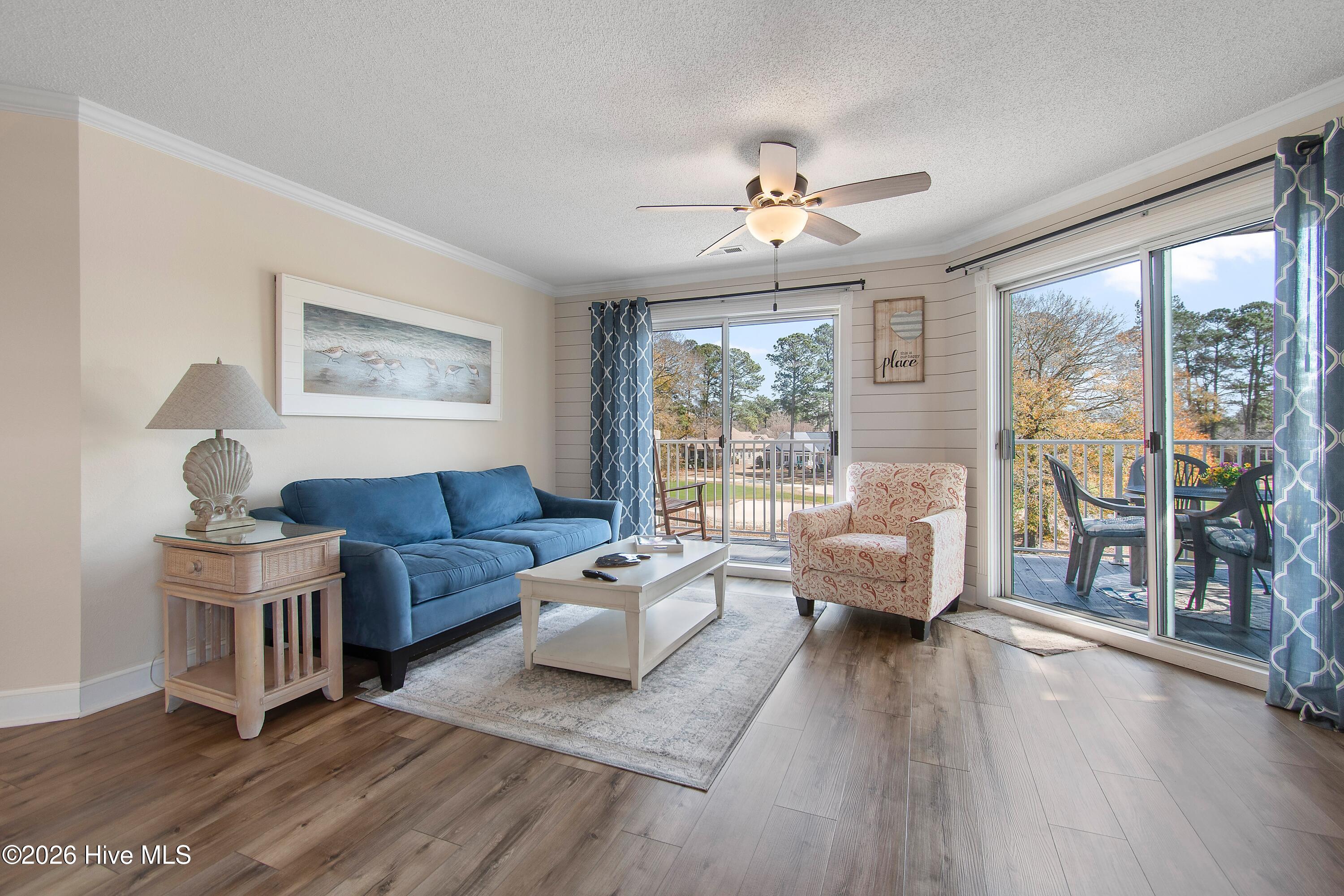 100556765 | Photo 22