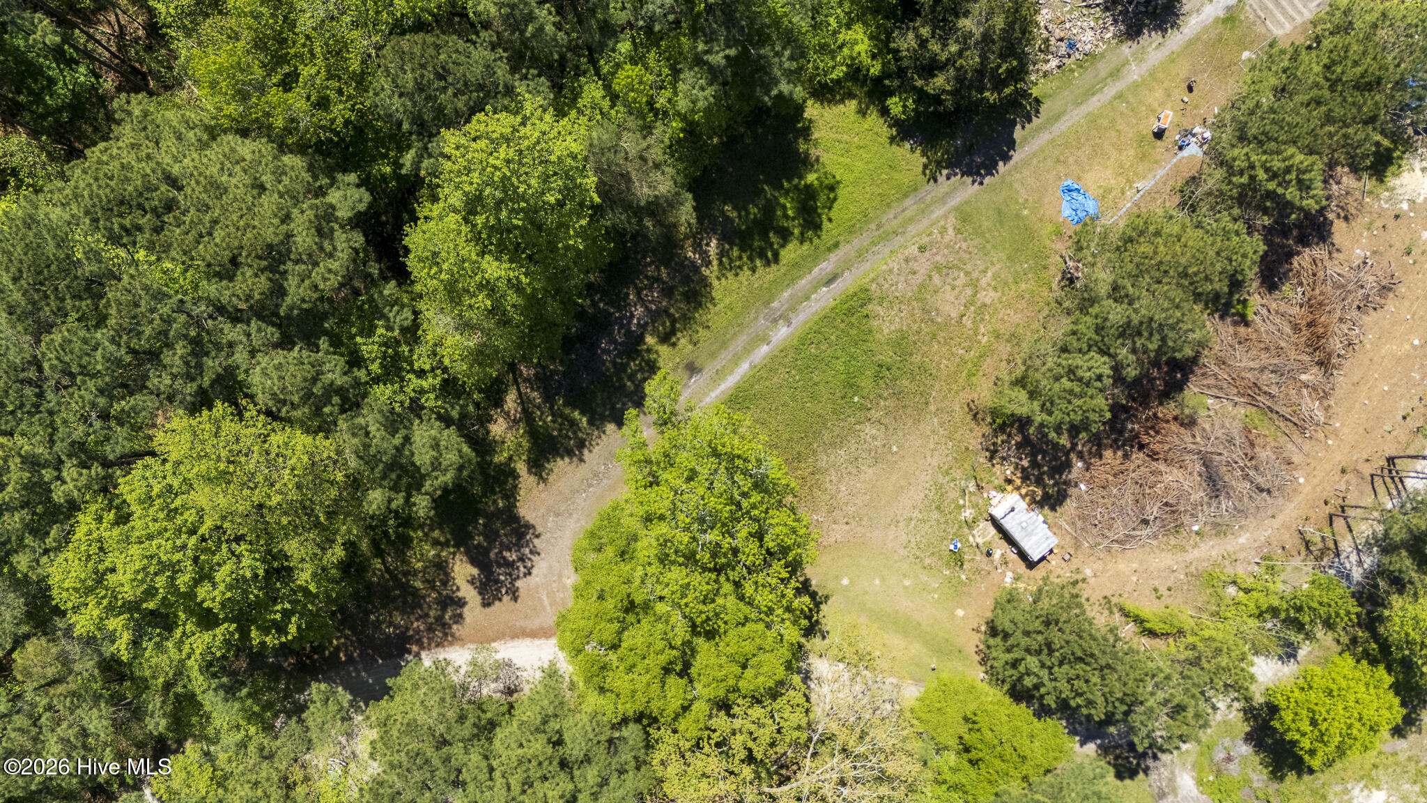 100566627 | Photo 10