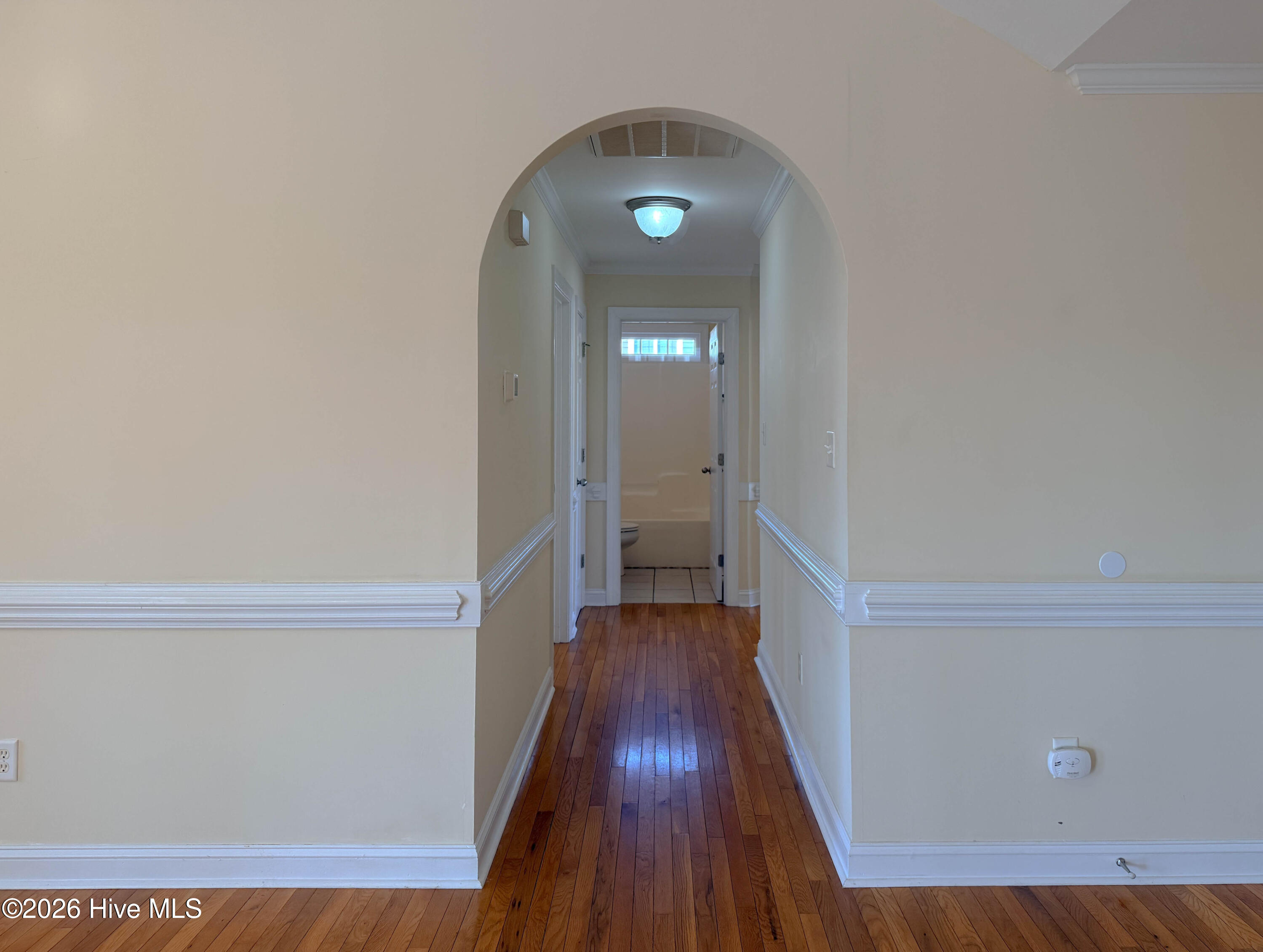 100554252 | Photo 24