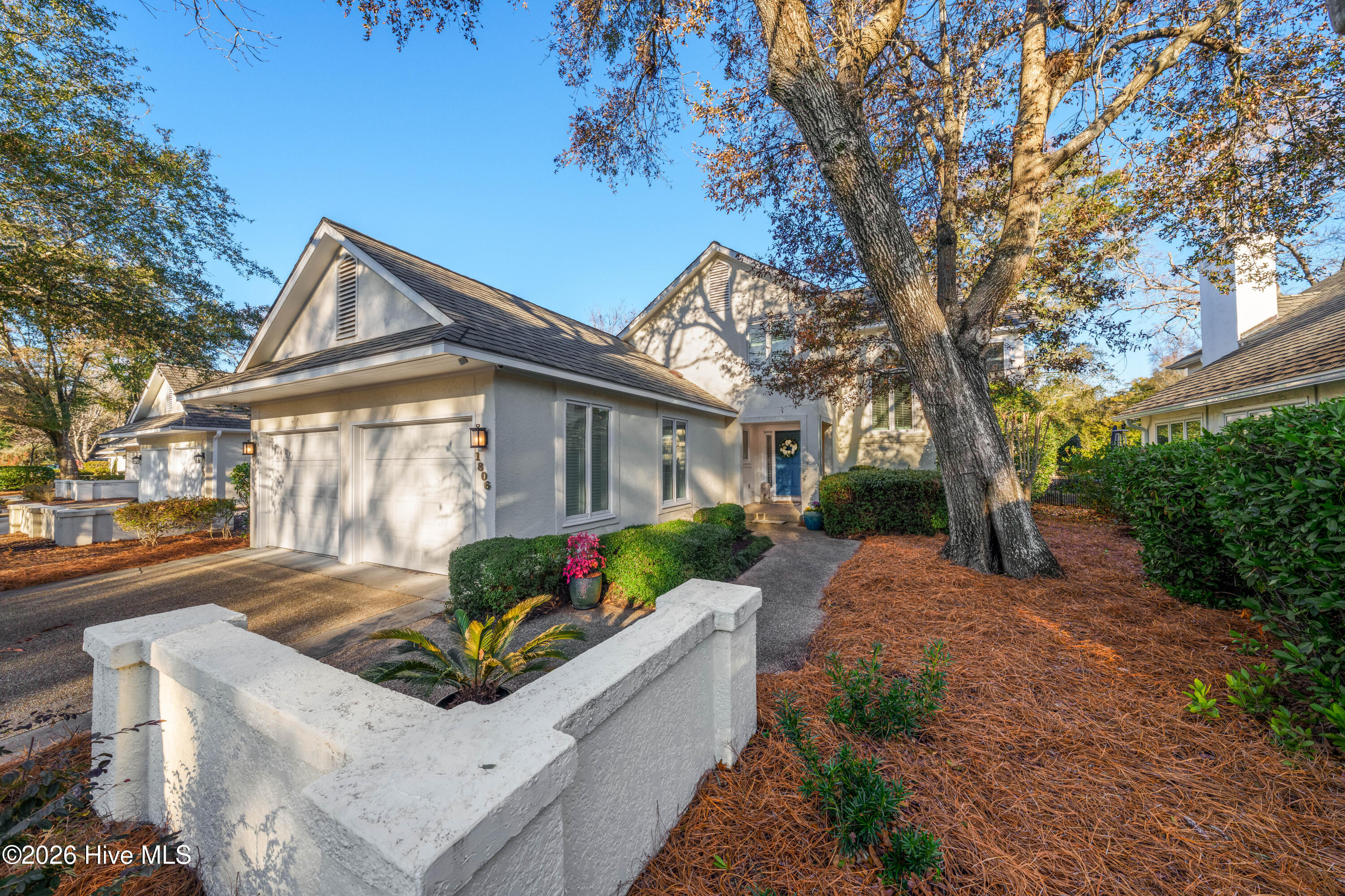 100553982 | Photo 16