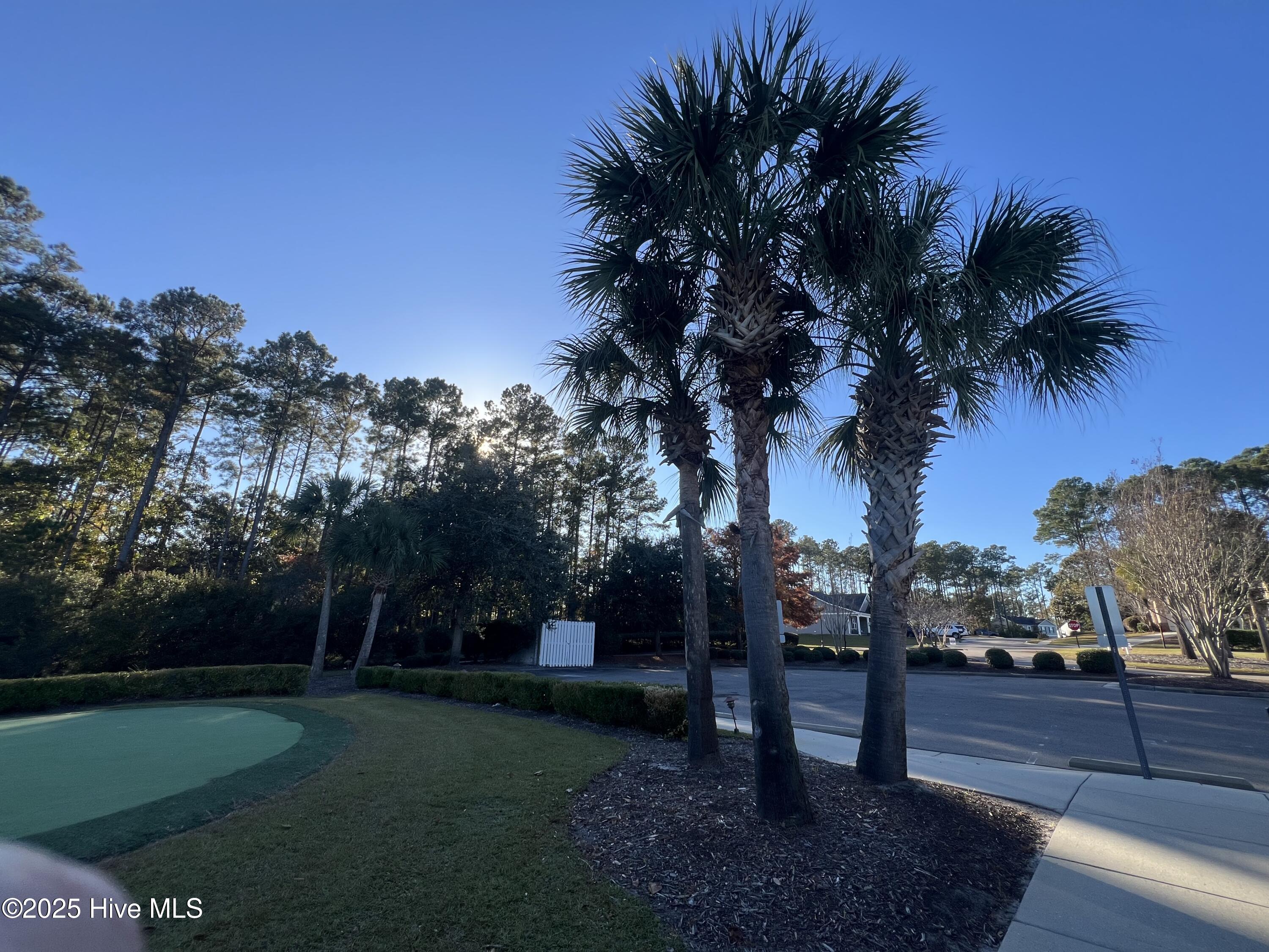 100524627 | Photo 44