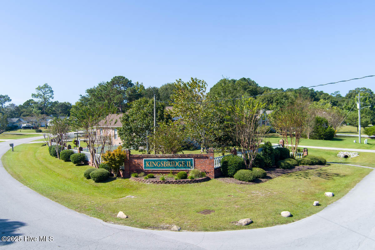 100534279 | Photo 41