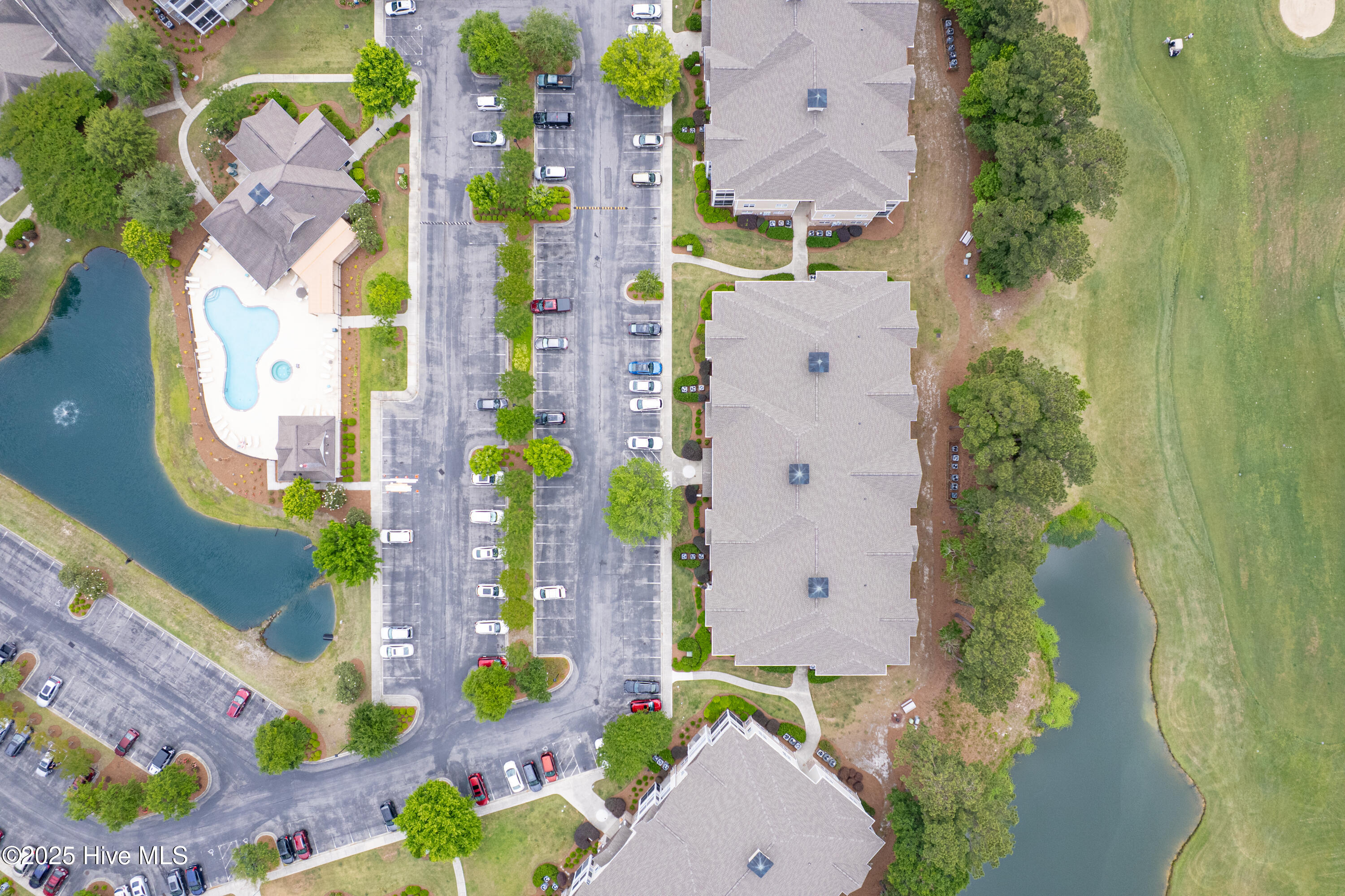 100507885 | Photo 32