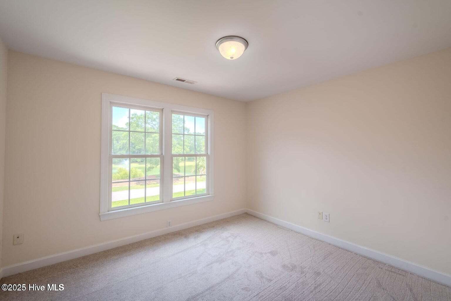 100538415 | Photo 19