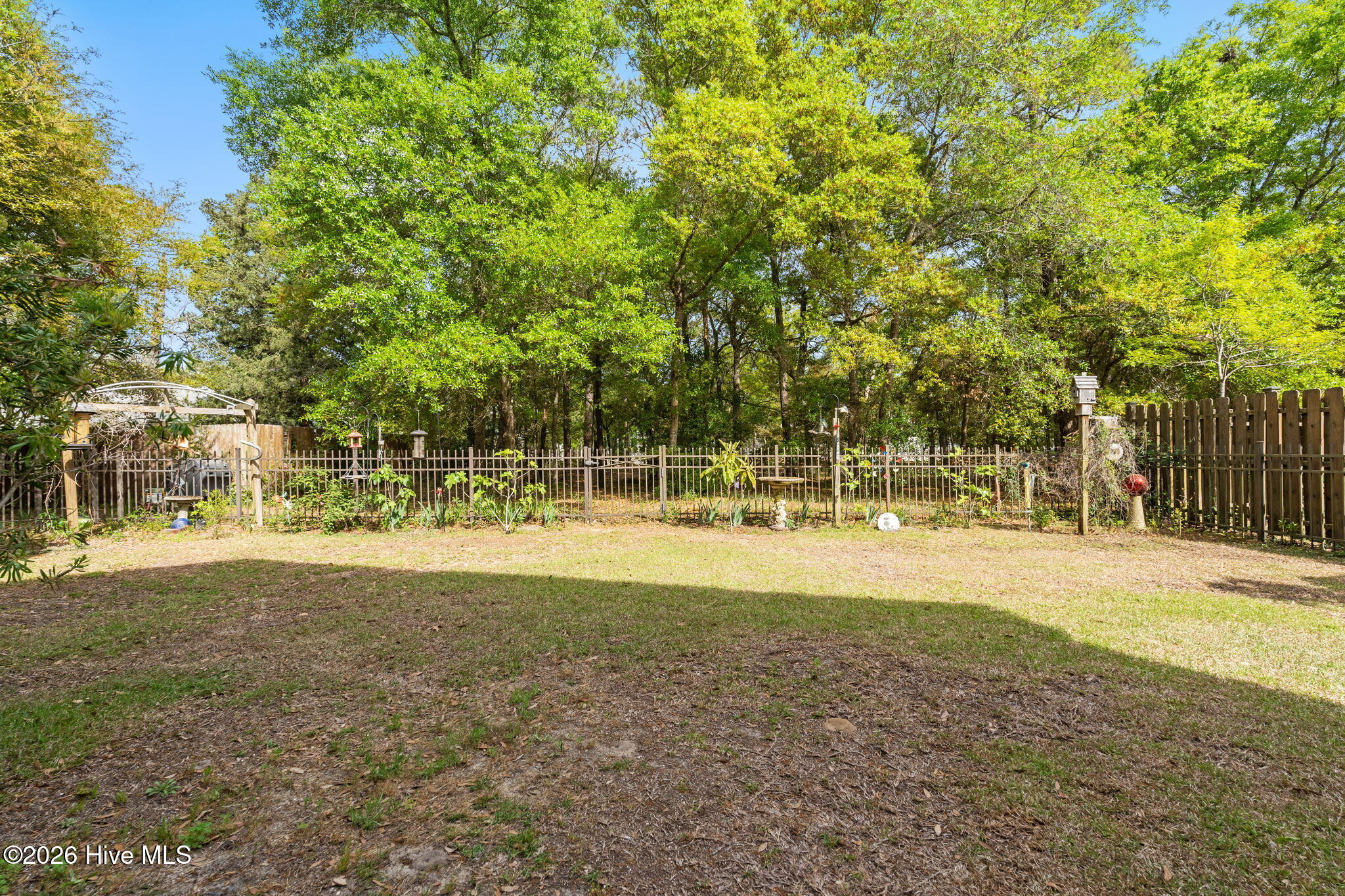 100566987 | Photo 14