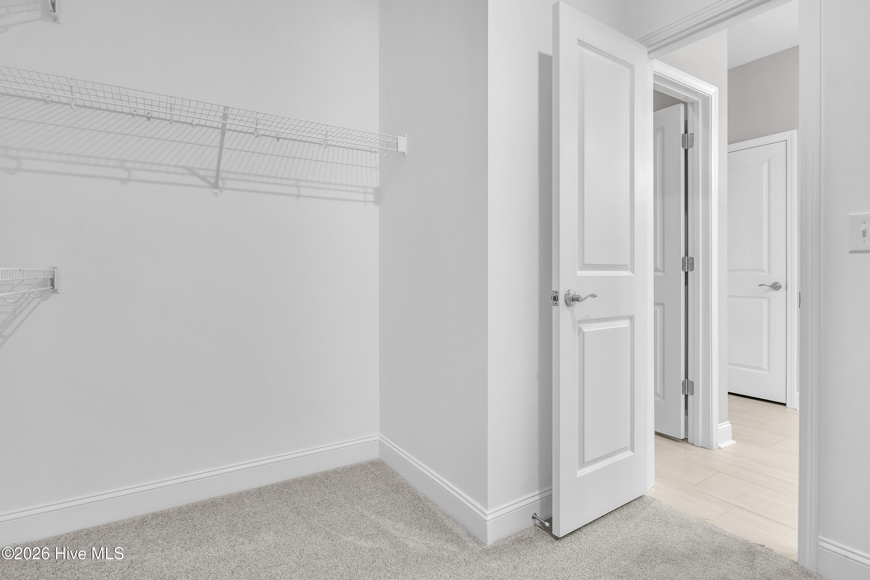 100561005 | Photo 43