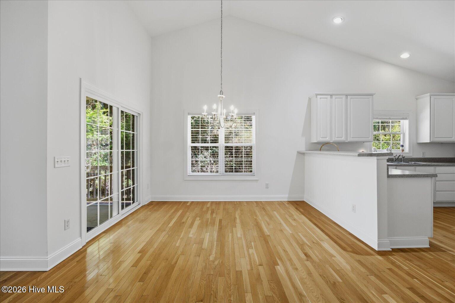 100564085 | Photo 18